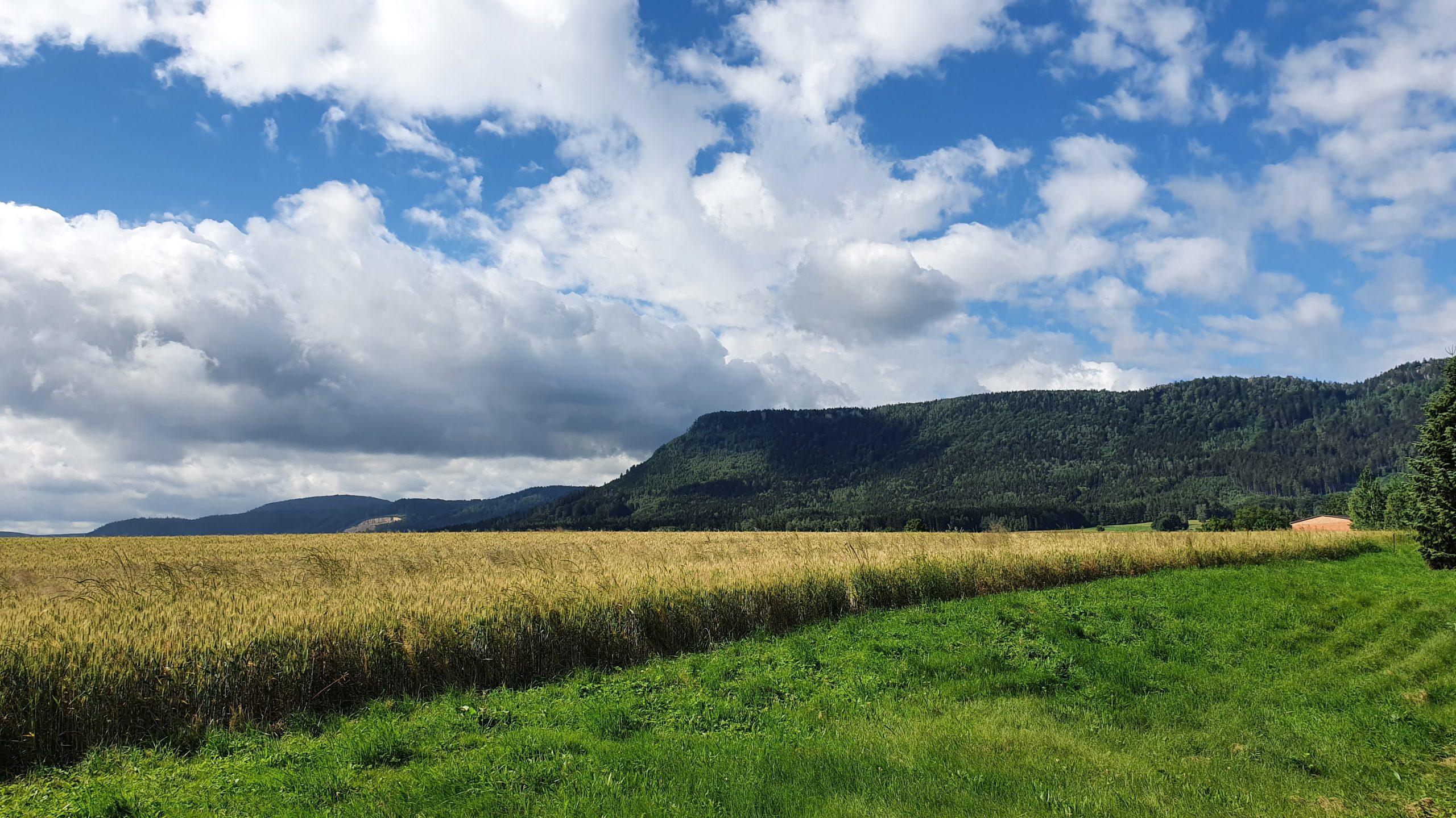 Turistická základna u Nývltů - kemp foto 5
