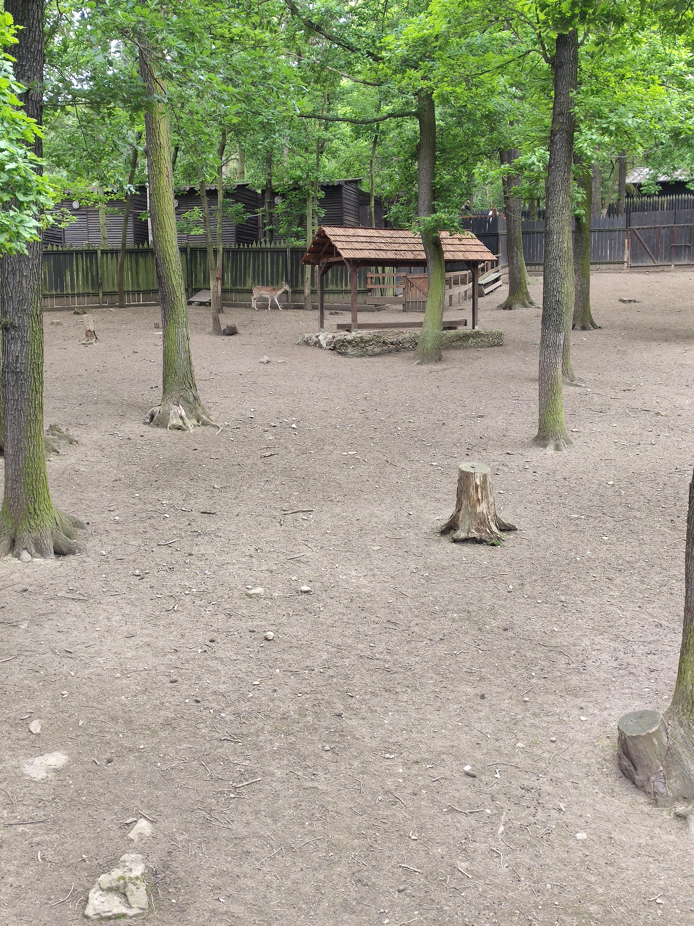 Občerstvení U Standy foto 2