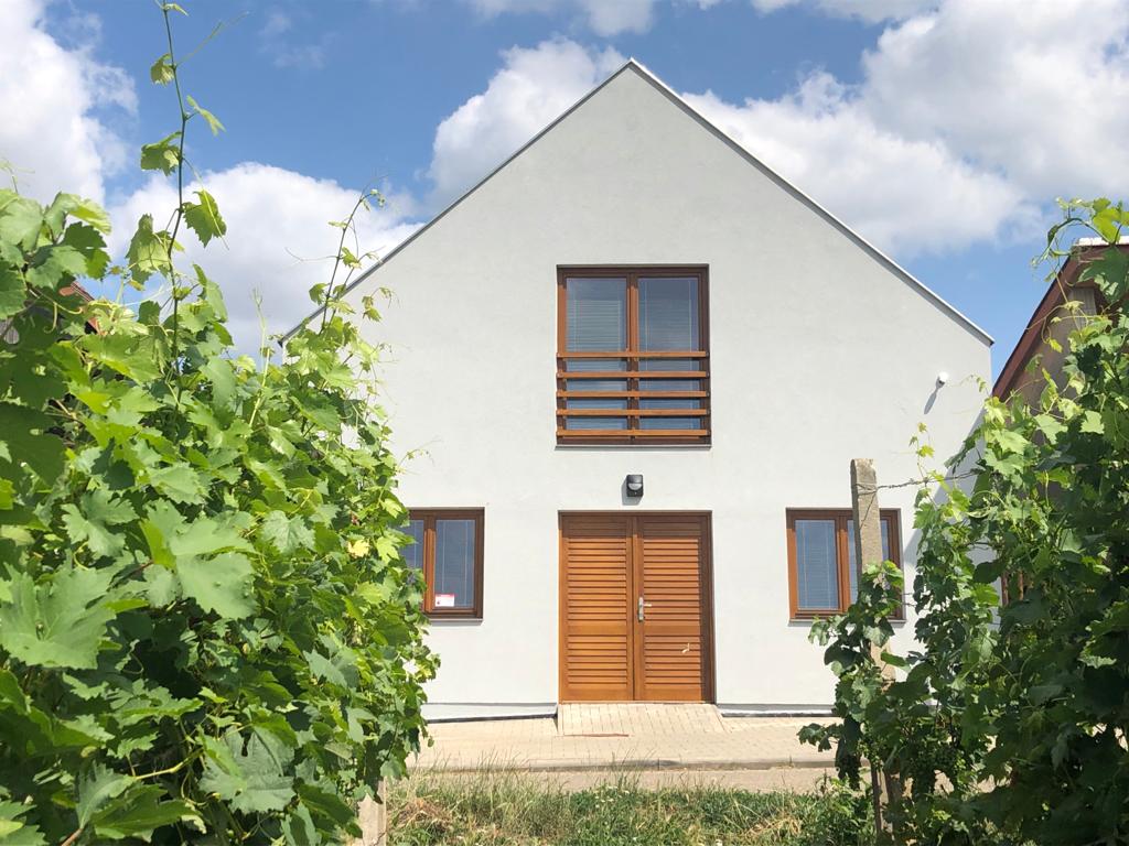 Ubytování Ve Vinici foto 2