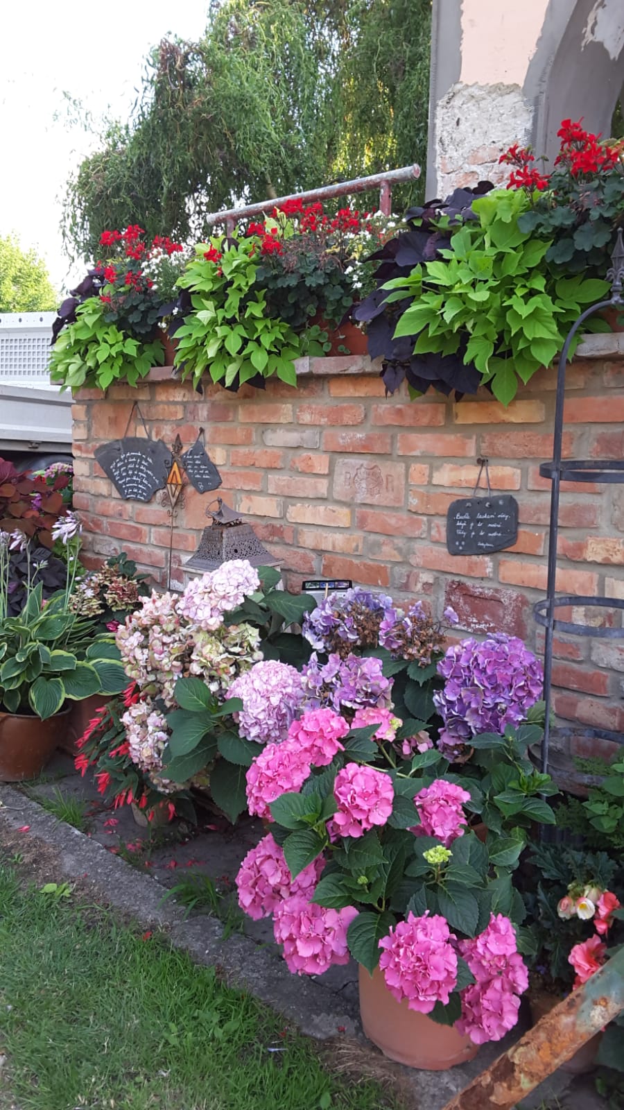 Hryzli, spol. s r.o. - Zahradní centrum foto 3