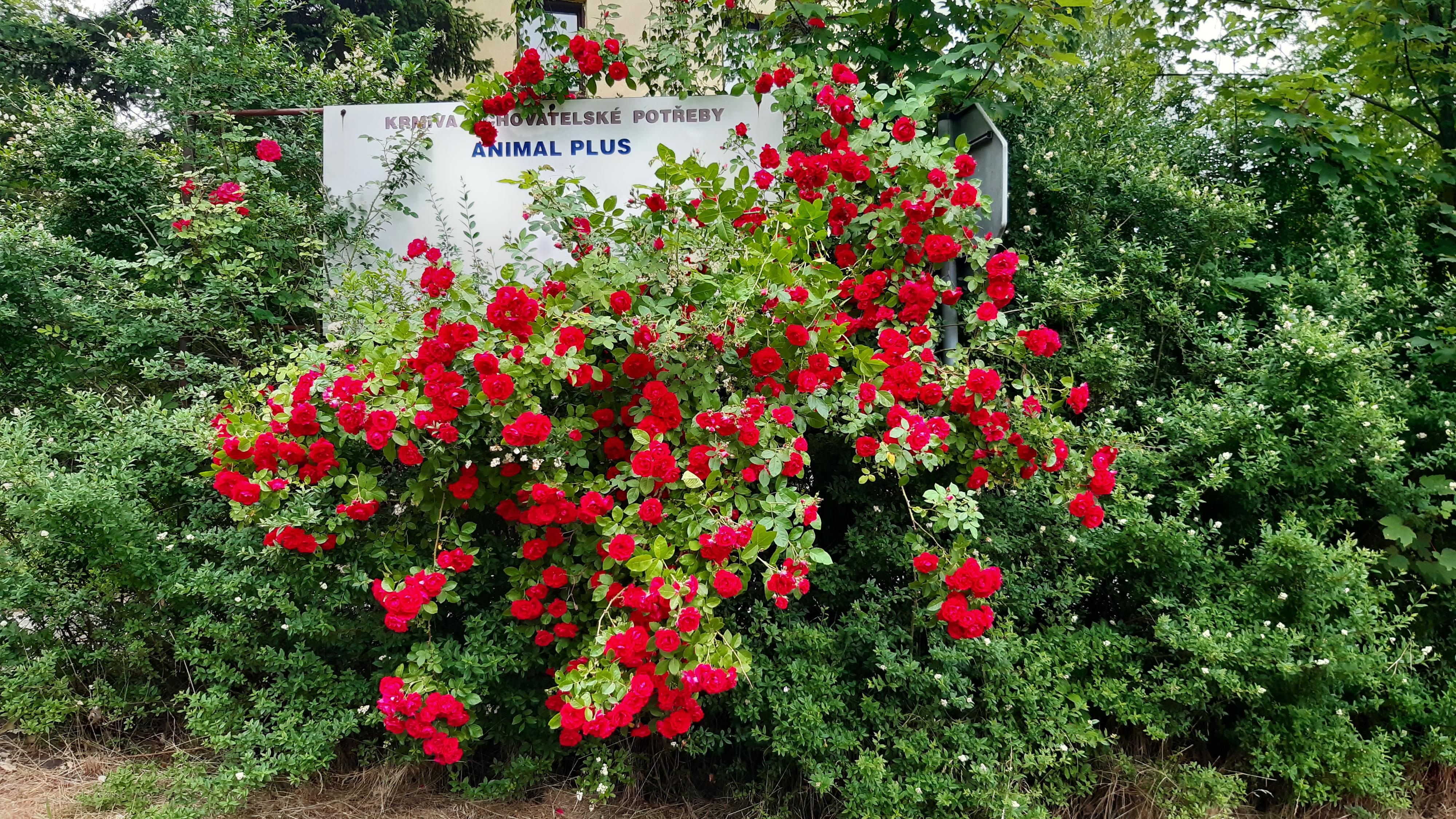 Ing. Jiří Vítek krmiva a chovatelské potřeby foto 2