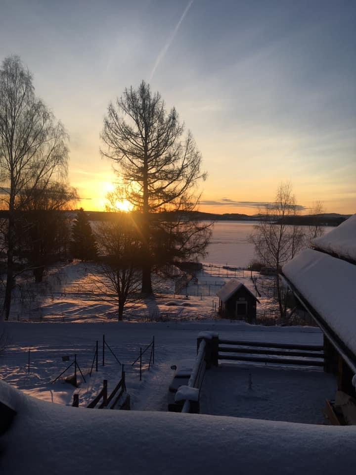 Penzion ve Srubu Jenišov foto 3