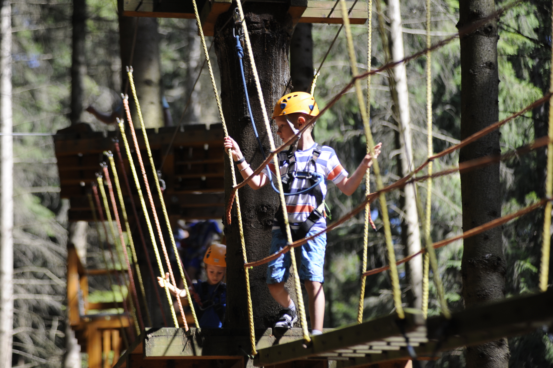 Adrenalin park Jeseníky foto 4