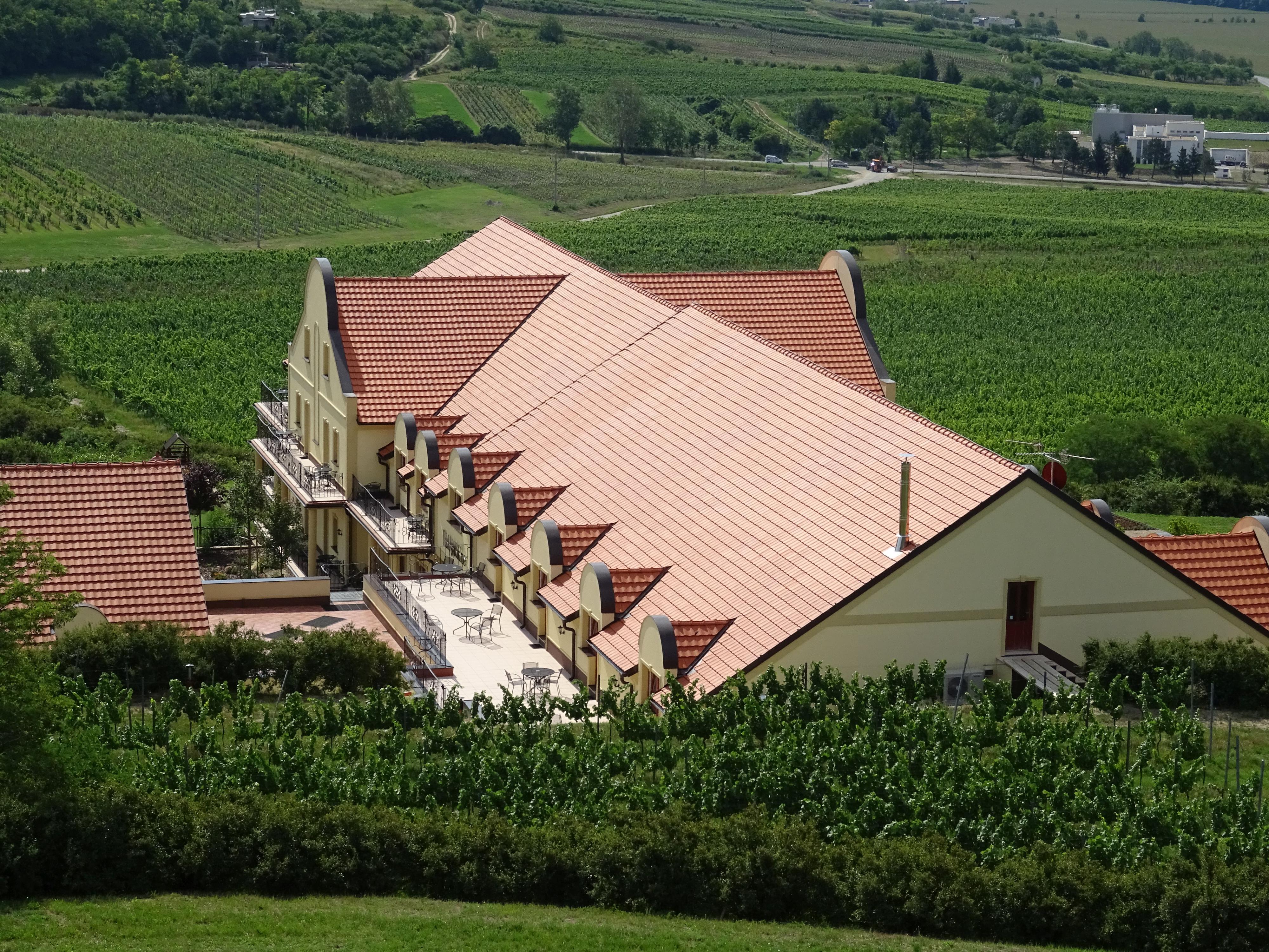 Penzion - Vinařství U Kapličky foto 4