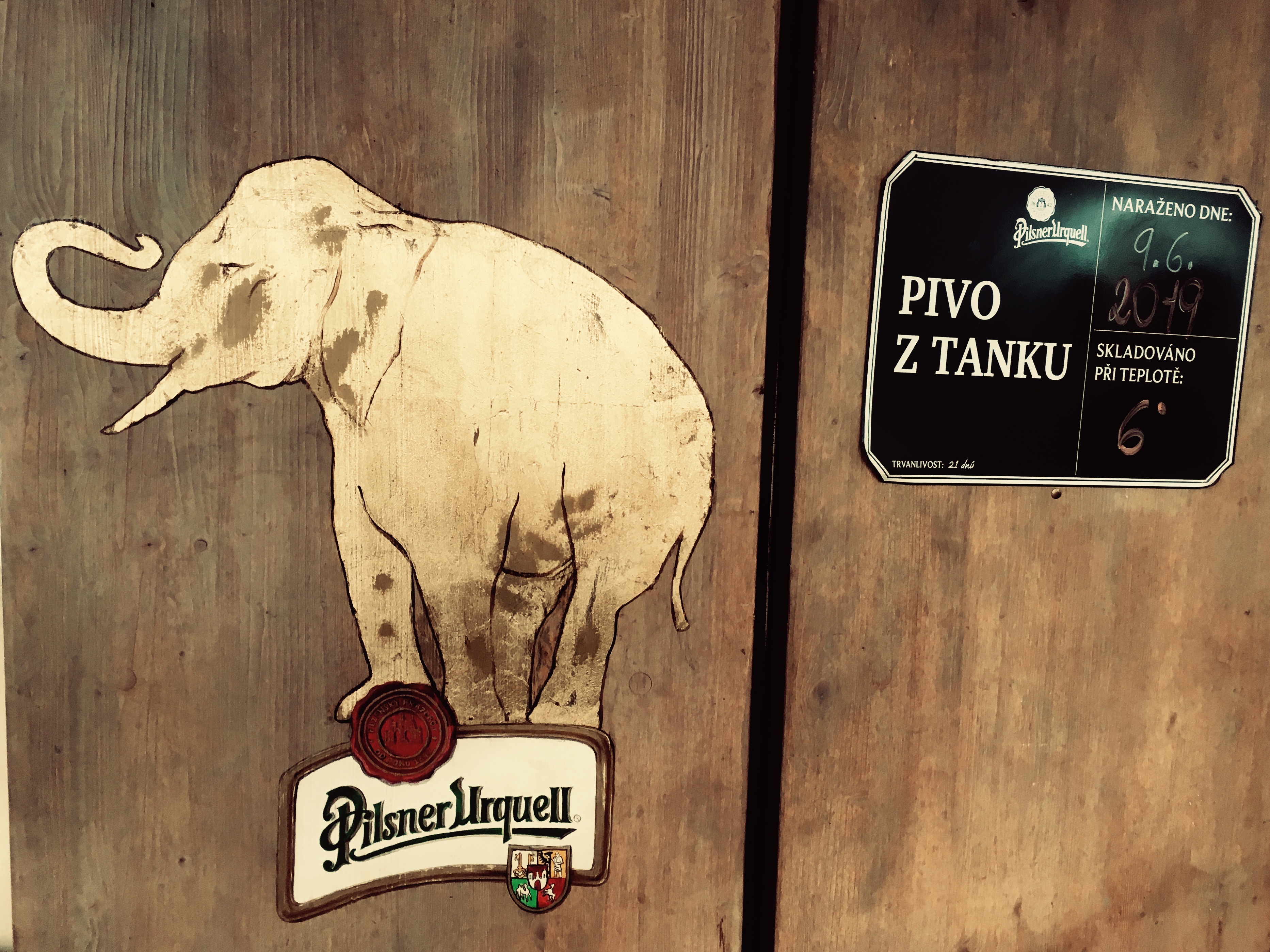 Pivnice U Zlatého slona foto 6
