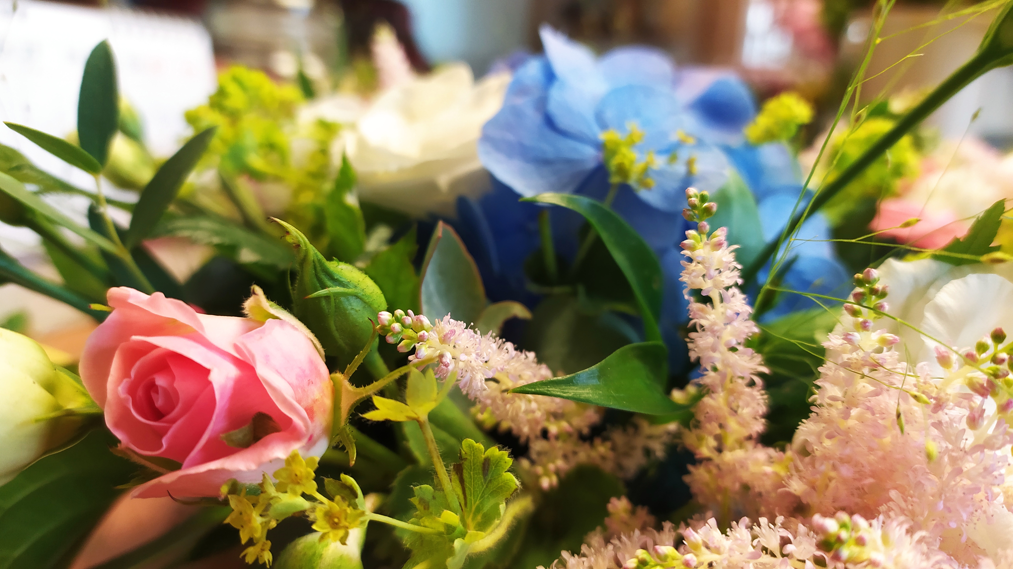 Zahradnictví Senohraby foto 4