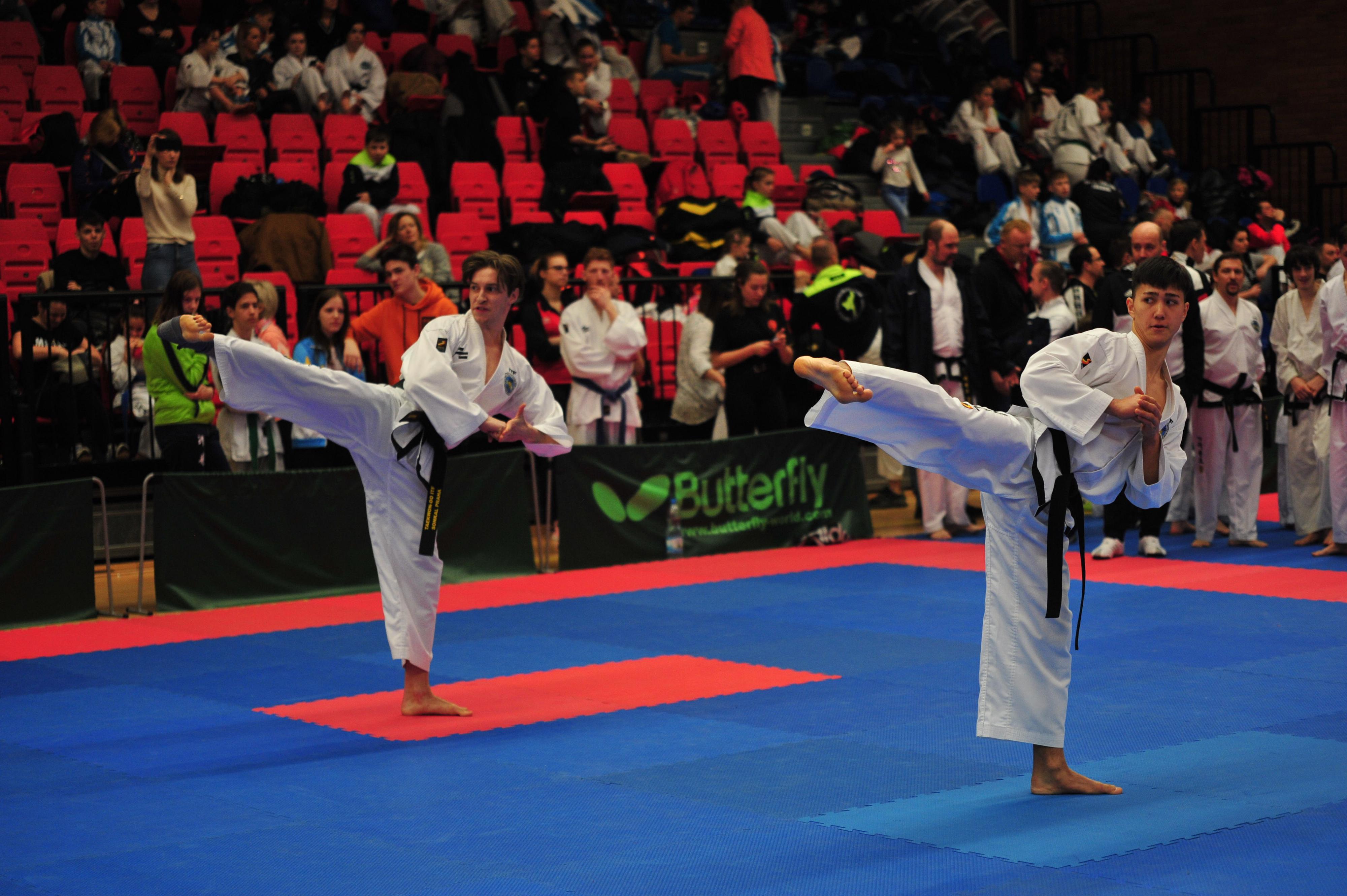 Český svaz Taekwon-Do ITF, z. s. foto 2