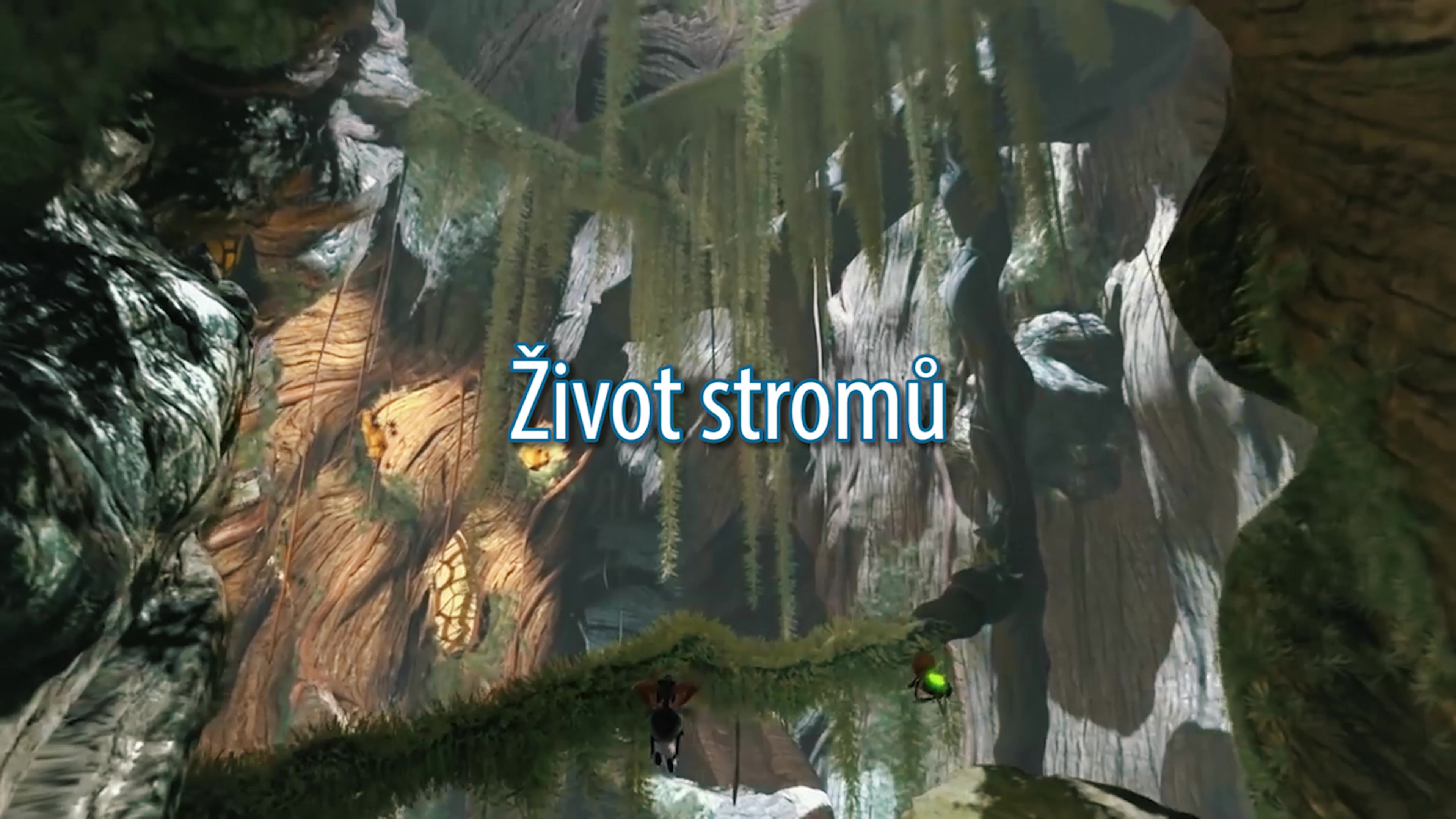 Mobilní planetárium foto 2 (náhled videa)