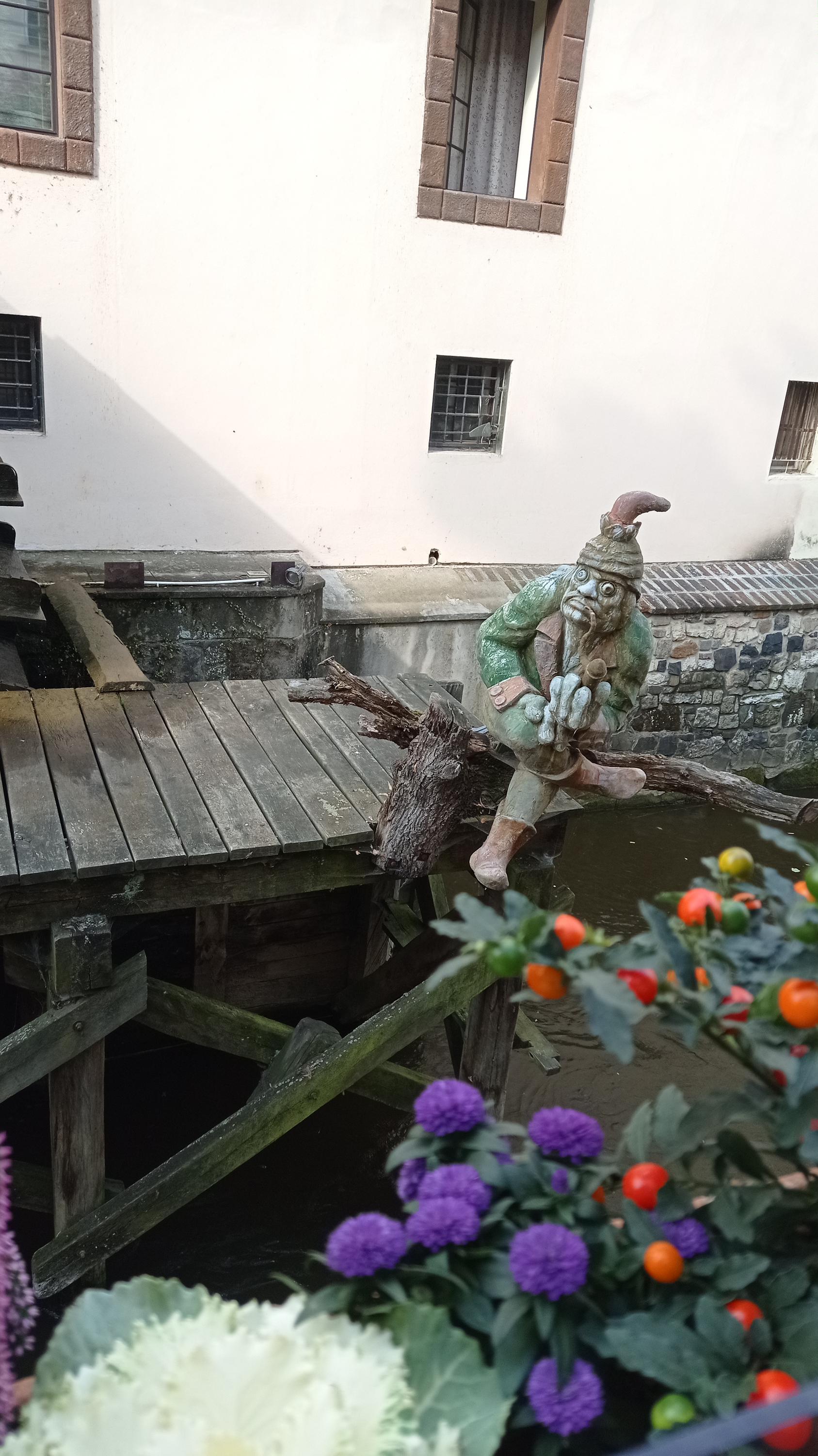 Restaurace Velkopřevorský mlýn foto 4