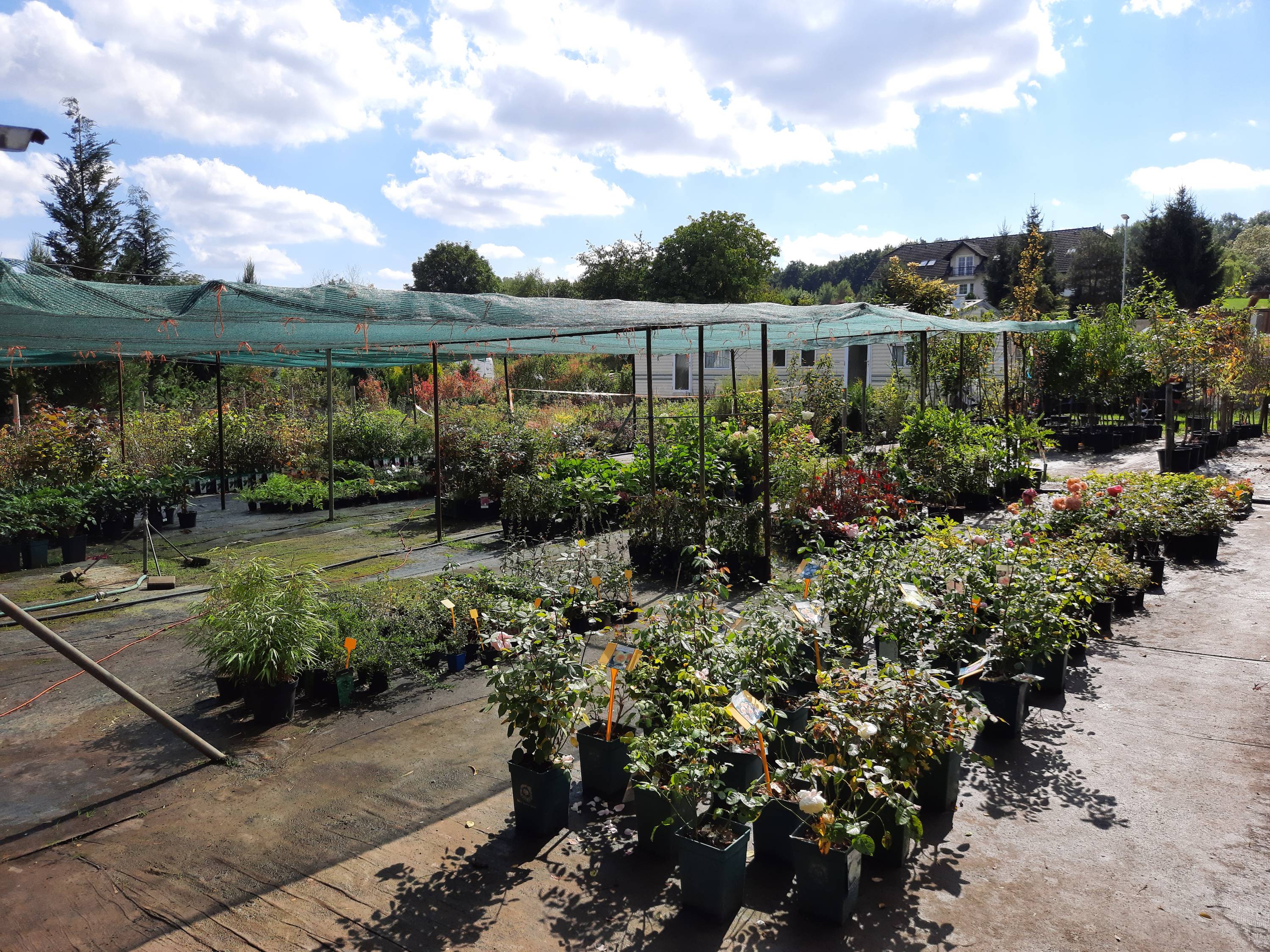 ARBO - zahradnictví, s.r.o. foto 5