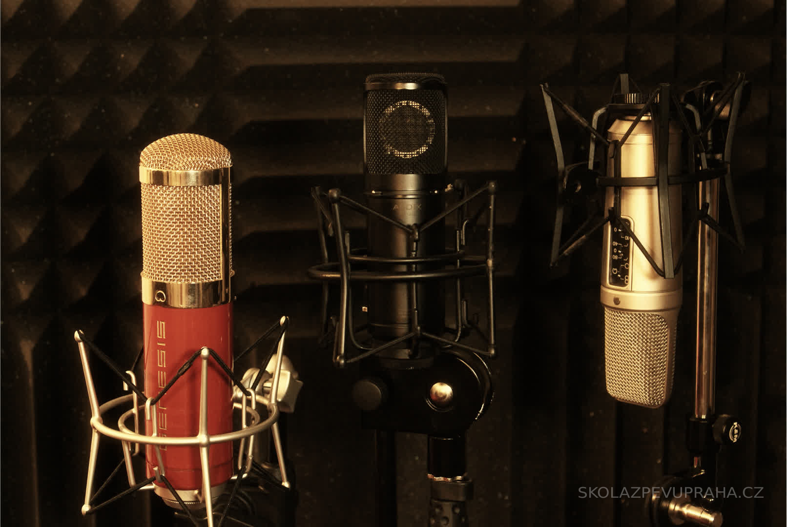 Škola zpěvu Praha SUZI SIREN foto 4