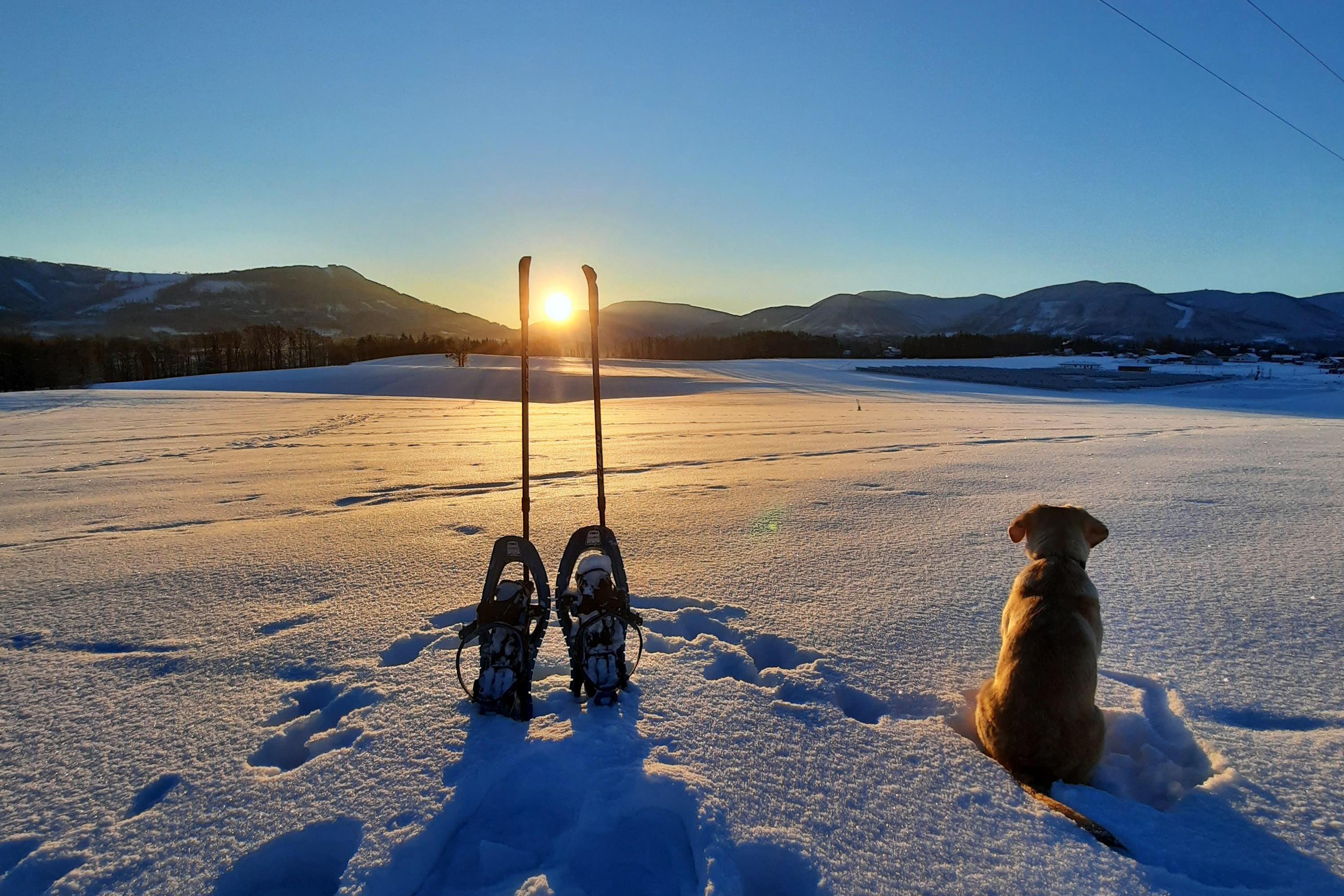 Nordic Walking Beskydy