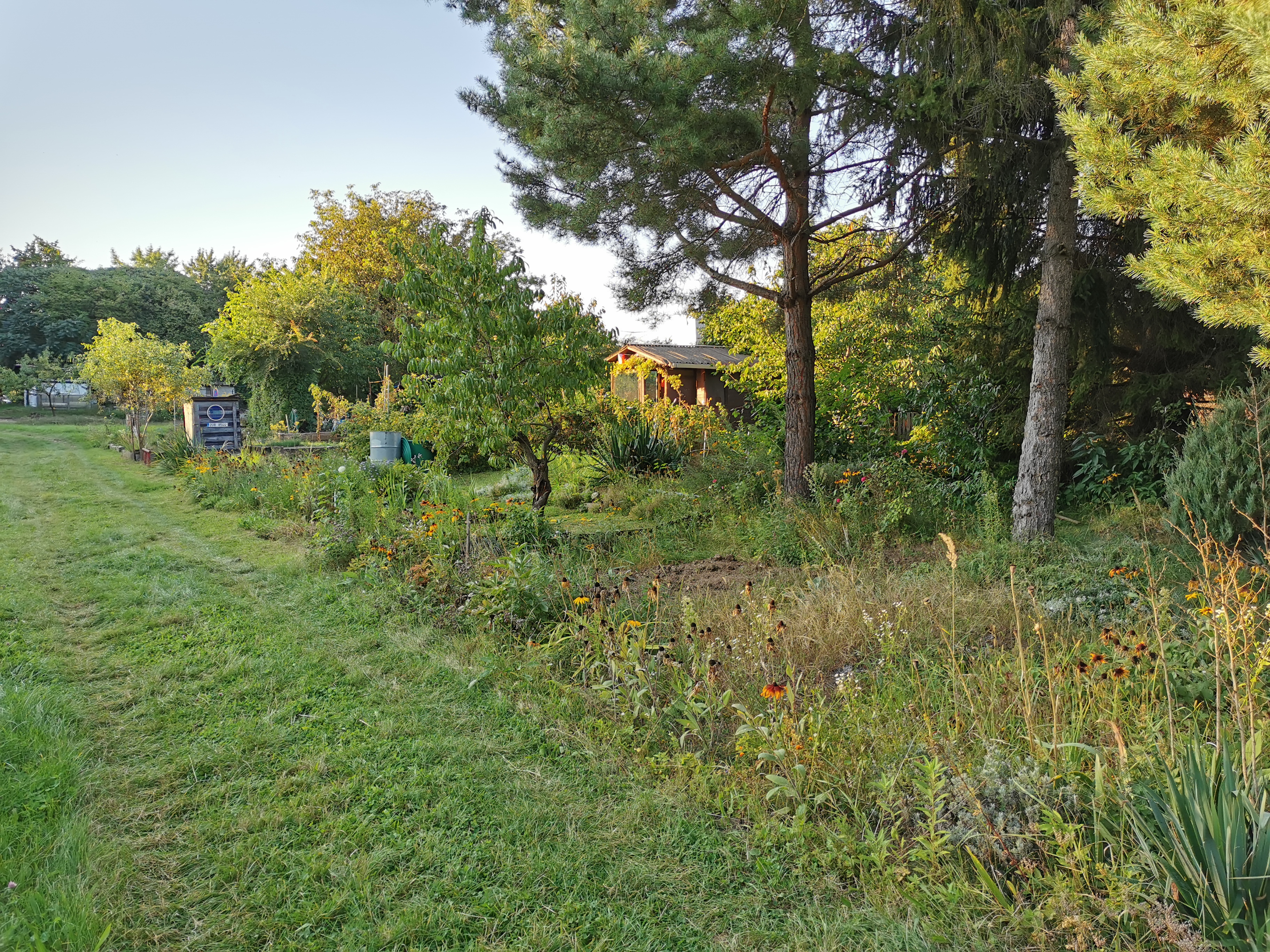 Zahrádkářský spolek Střížkov foto 2