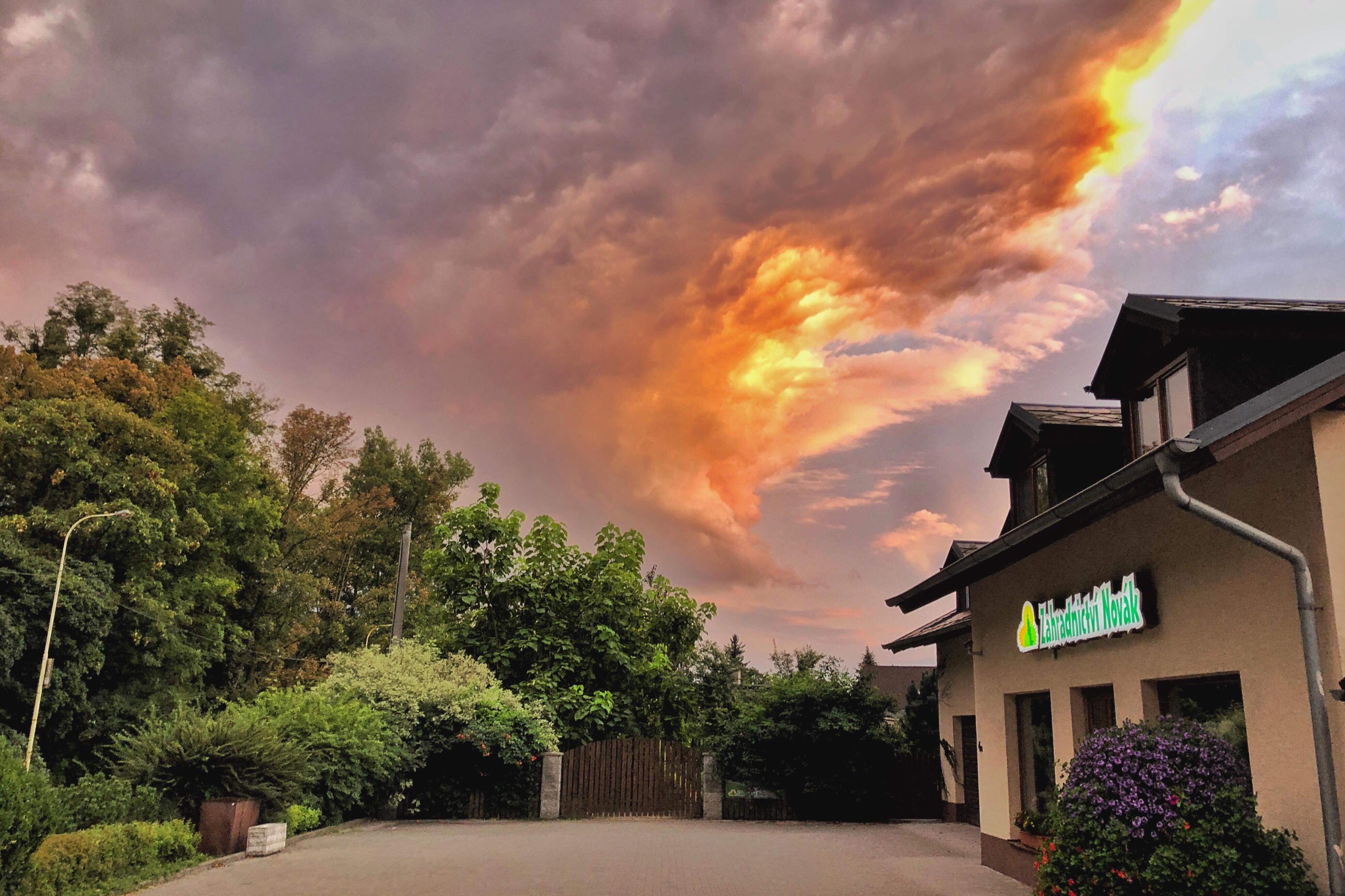 Zahradnictví Novák Hlučín s.r.o.