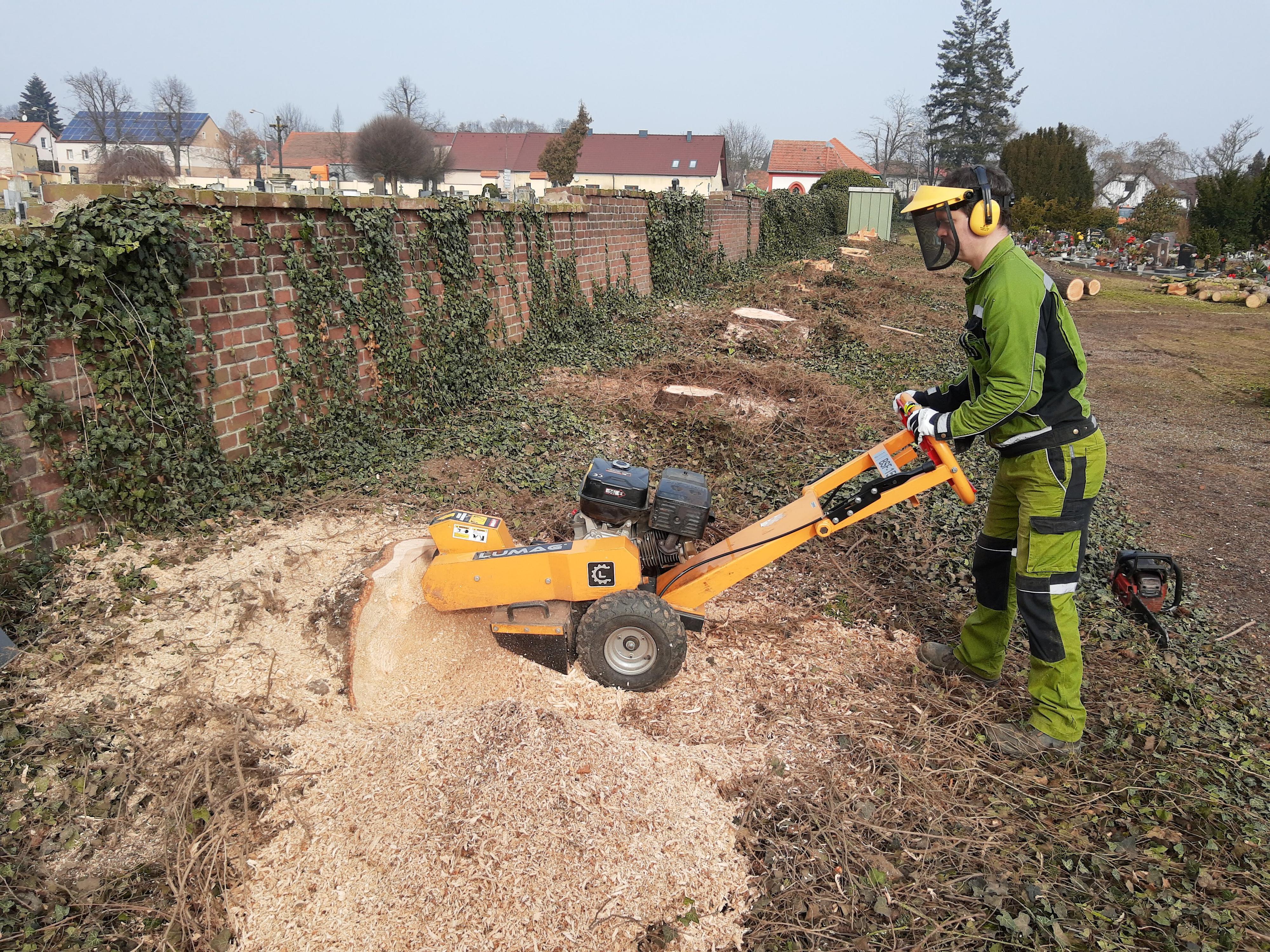 Odstraňujemepařezy.cz foto 3