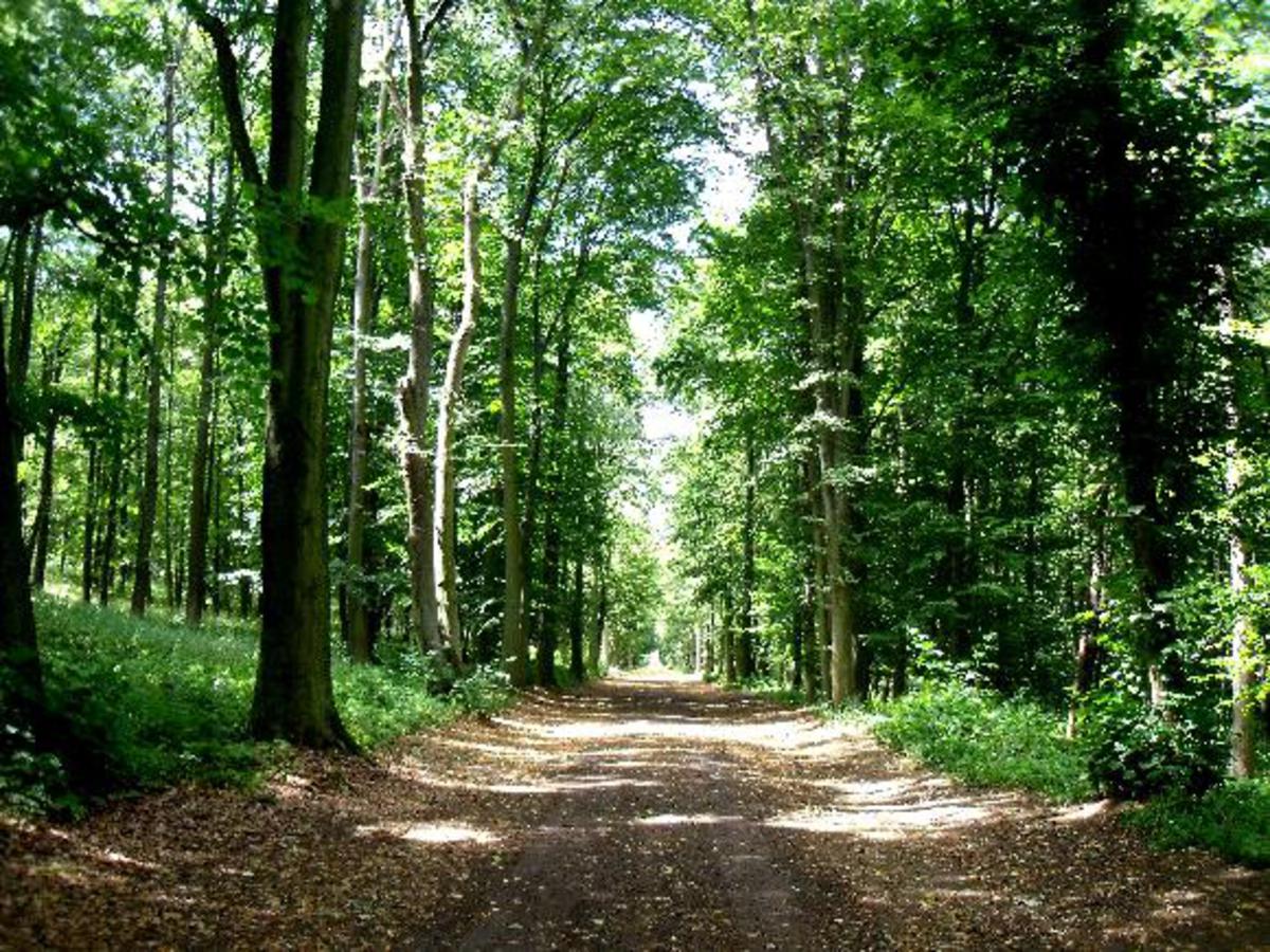 Bc. Jan Maršík, koučink, terapie foto 4