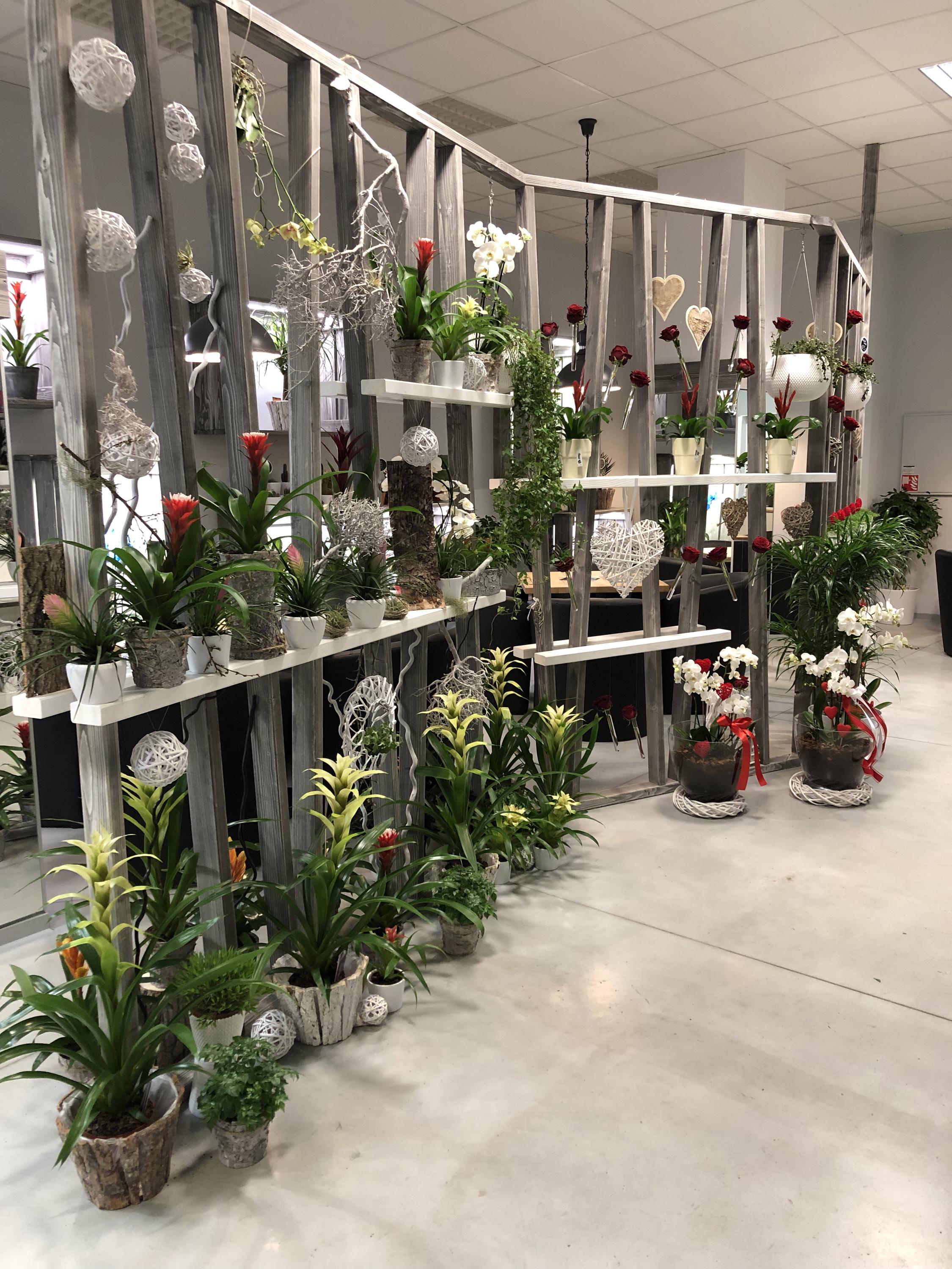 Květinářství Florcentrum Foltýnová foto 2