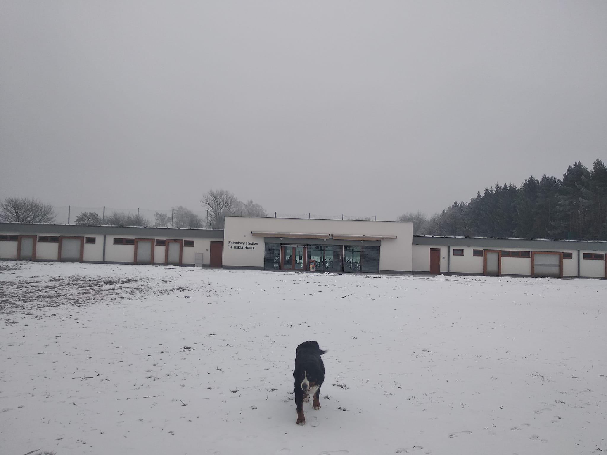 Dita Pourová foto 5