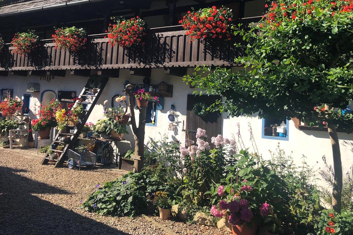 Penzion Roubenka-Sedlo foto 1