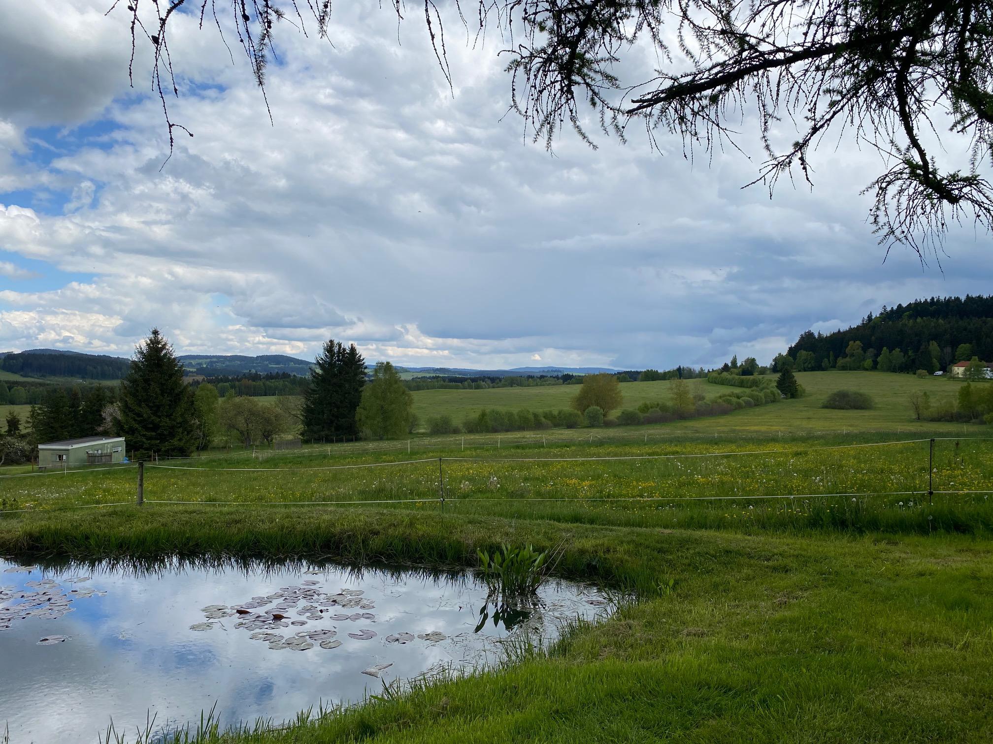 Apartmány Myslivecké údolí foto 4