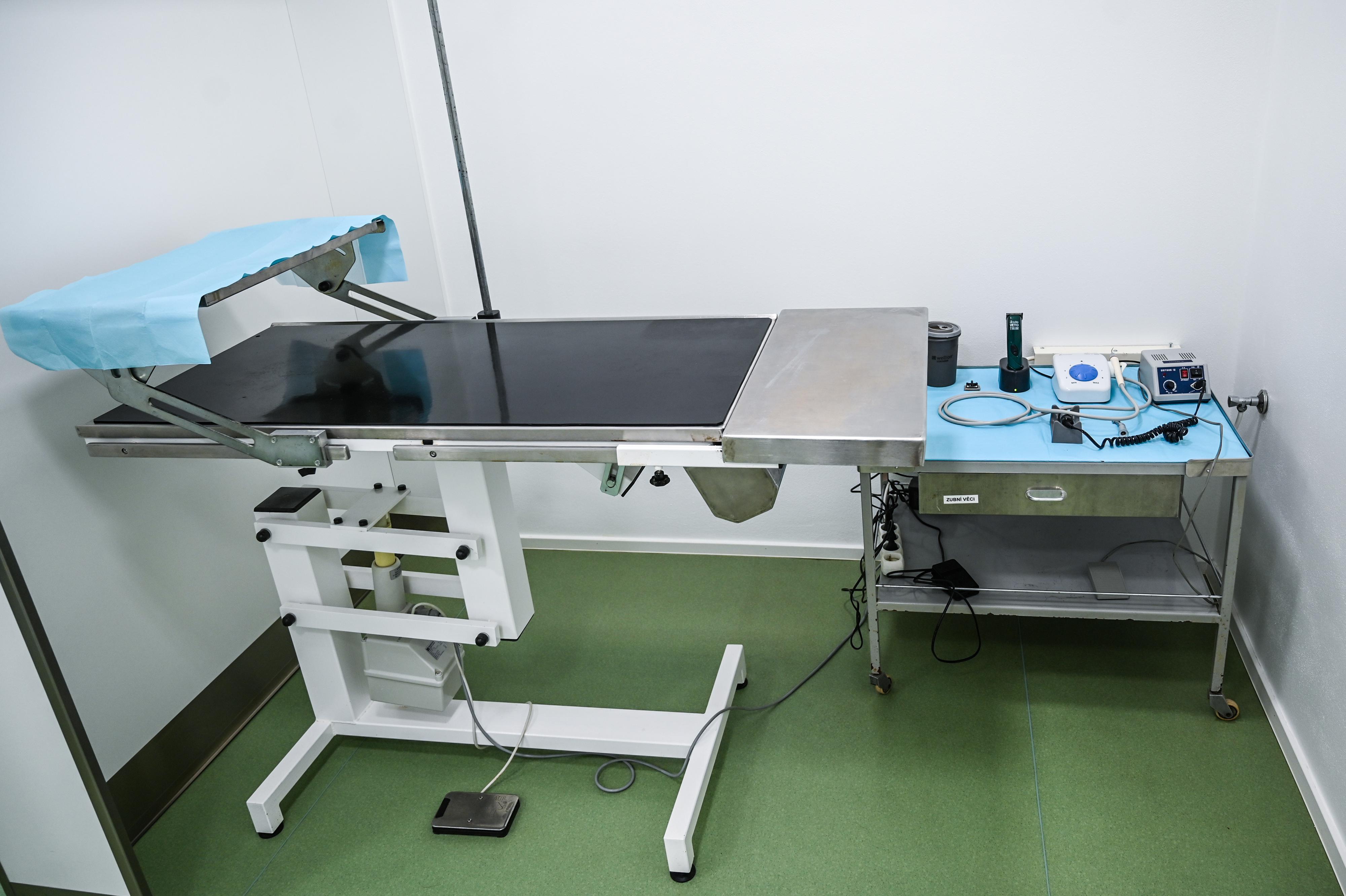 Veterinární klinika MVDr. Michael Mazoch, s.r.o. foto 4