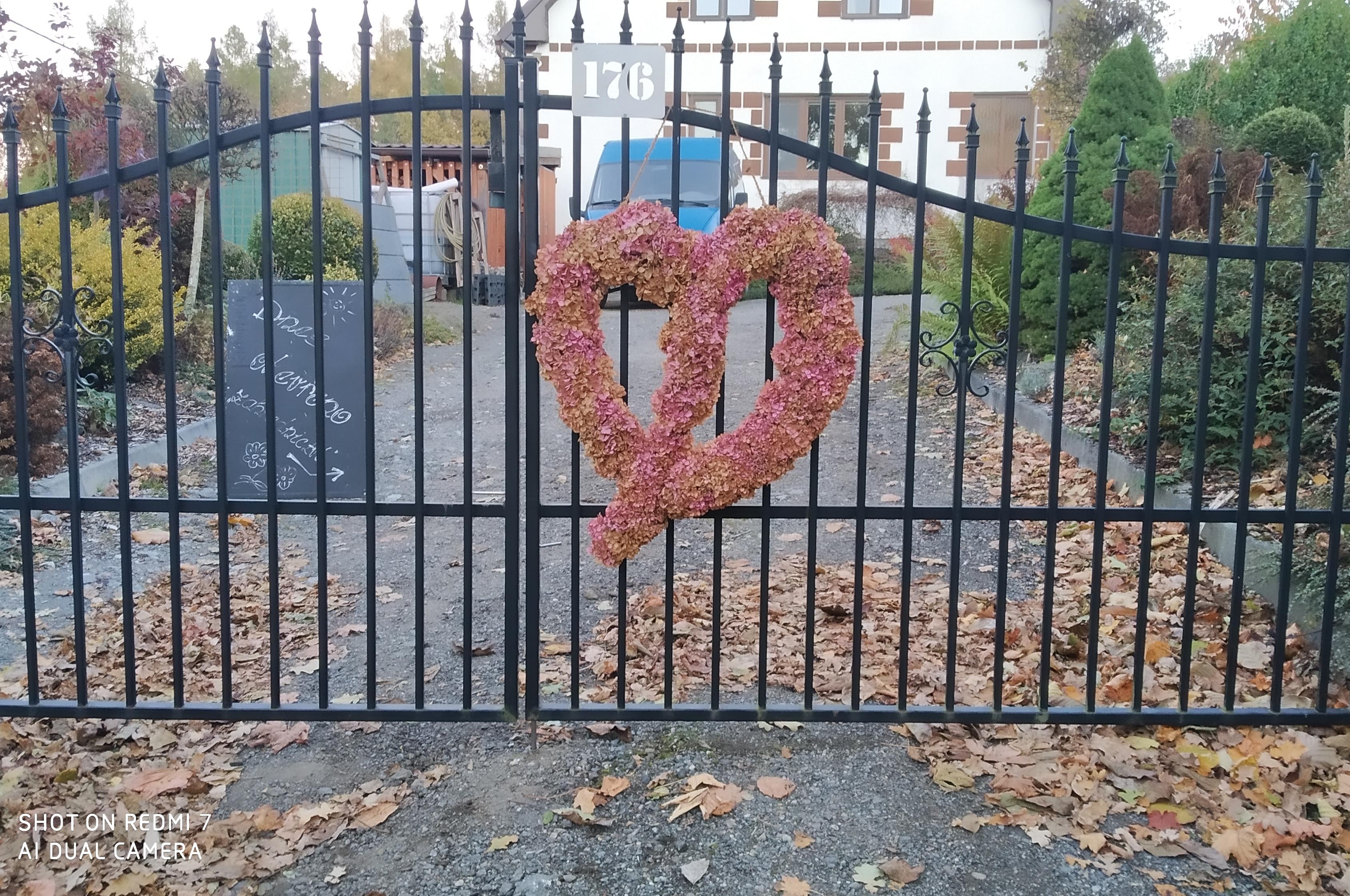 Zahradnictví Na Sušárně foto 1