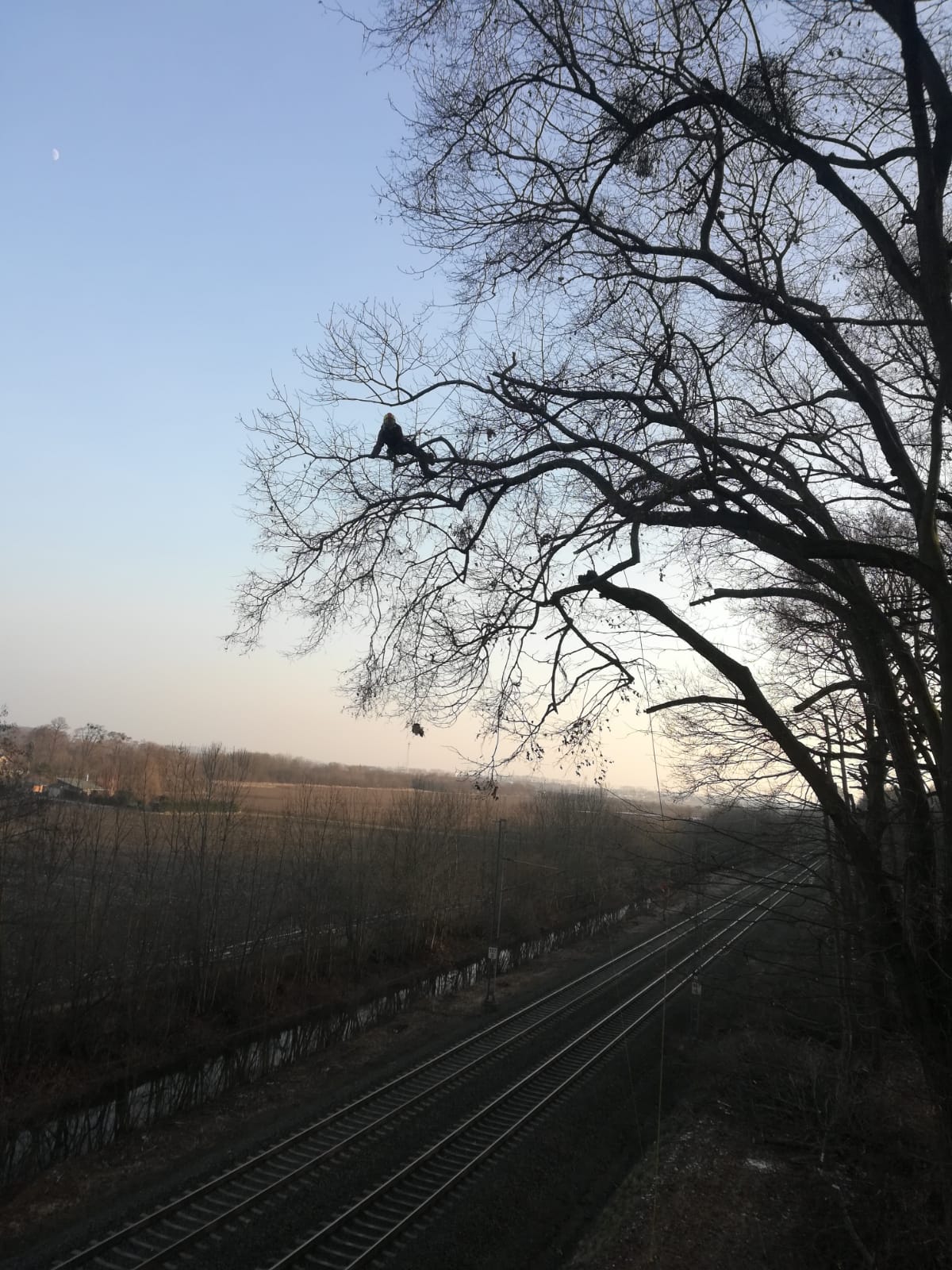ArboBlazek.cz
