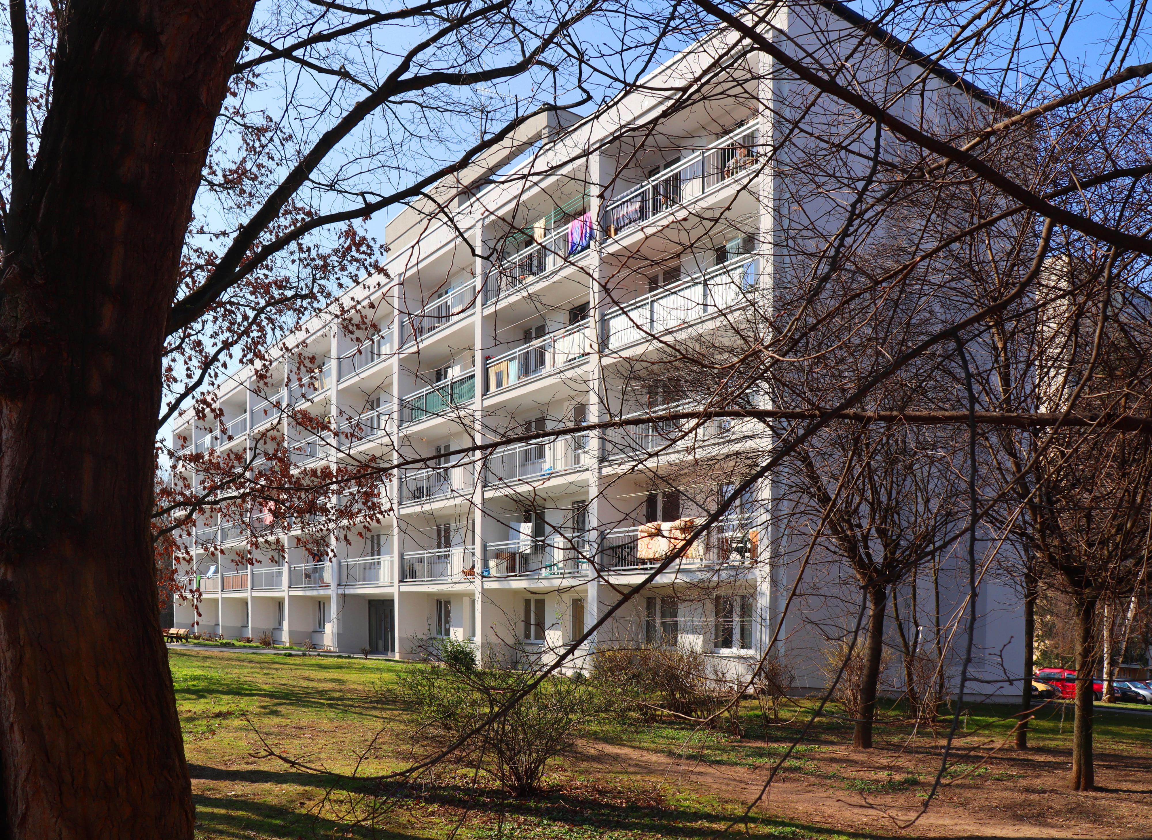 Sociální služby města Pardubic foto 6