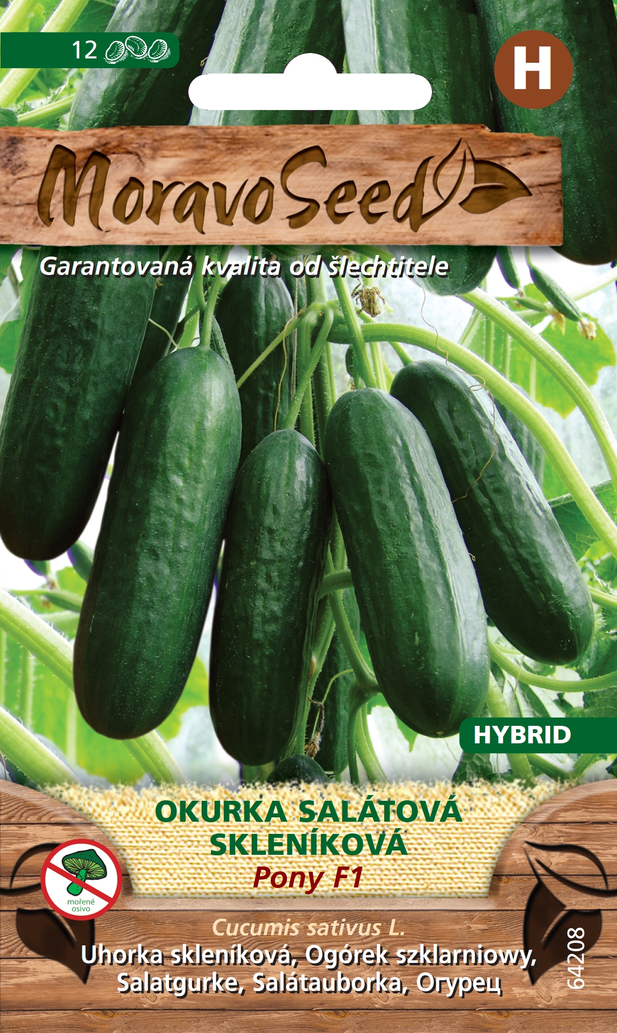 MoravoSeed foto 4
