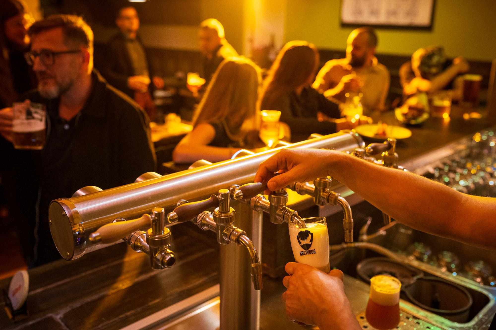 Craft Bar Bodenbach s pivotékou