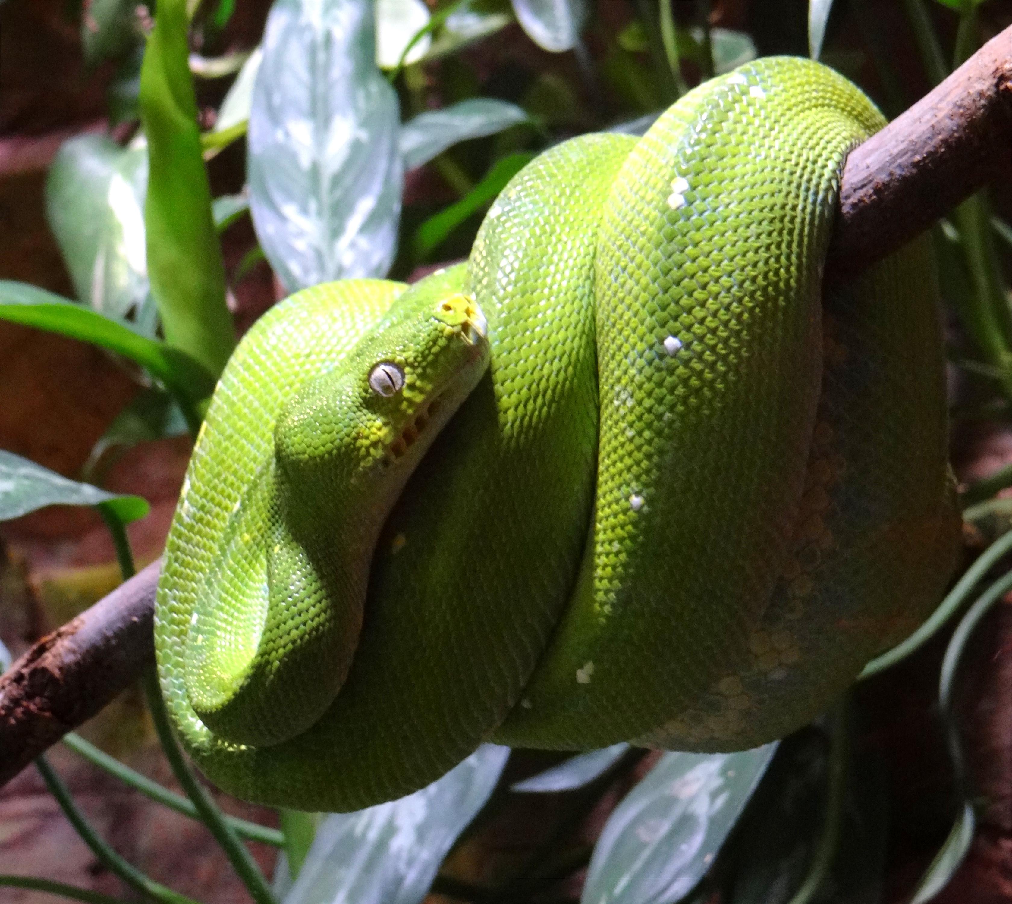 Akva Tera Zoo Plzeň foto 6