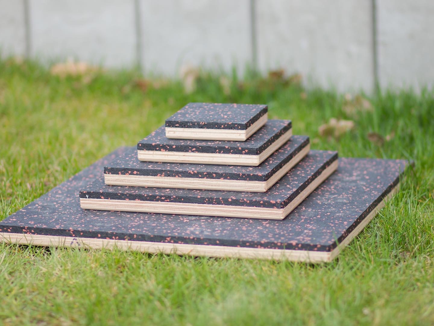Dogsteps.cz foto 2