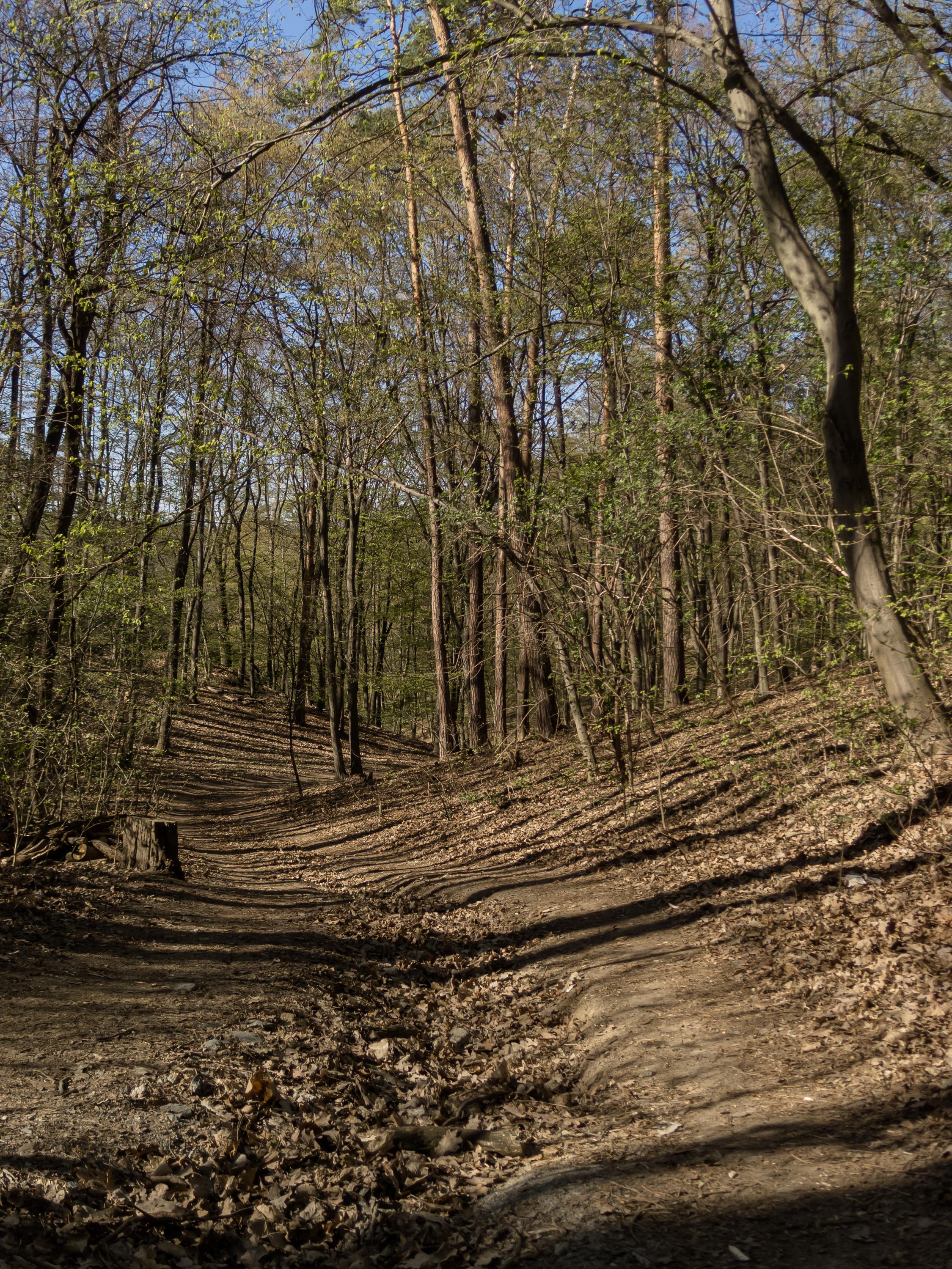 Disc Golf Zamilec foto 6