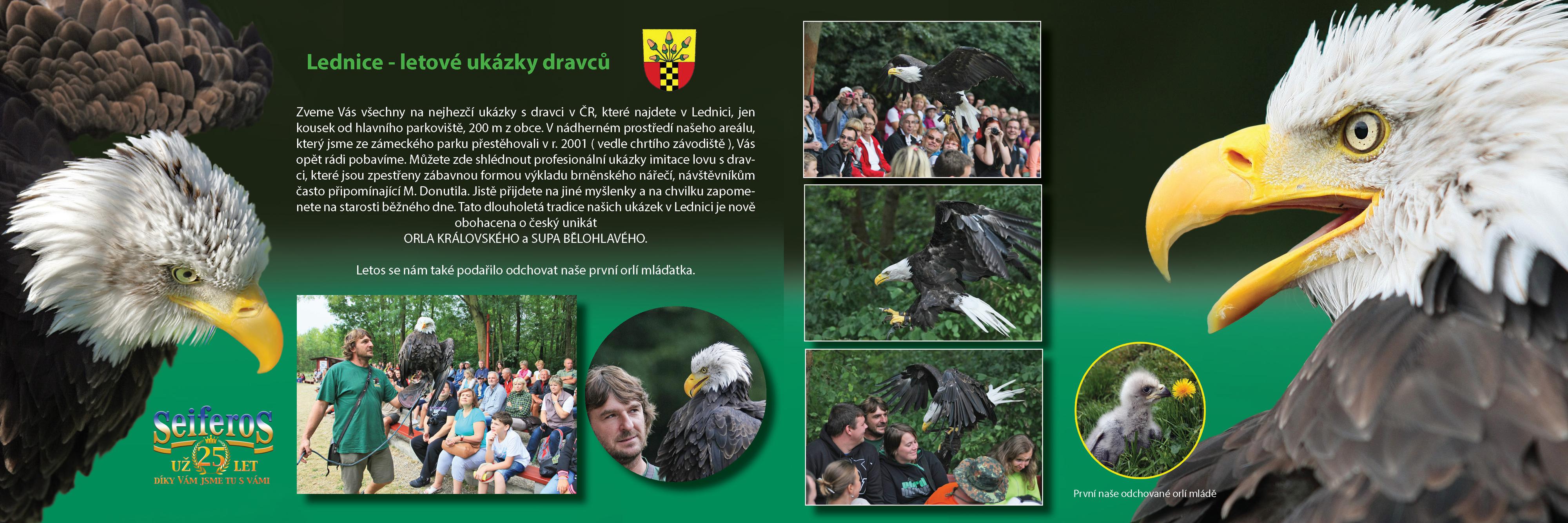 Dravci Lednice SEIFEROS foto 4