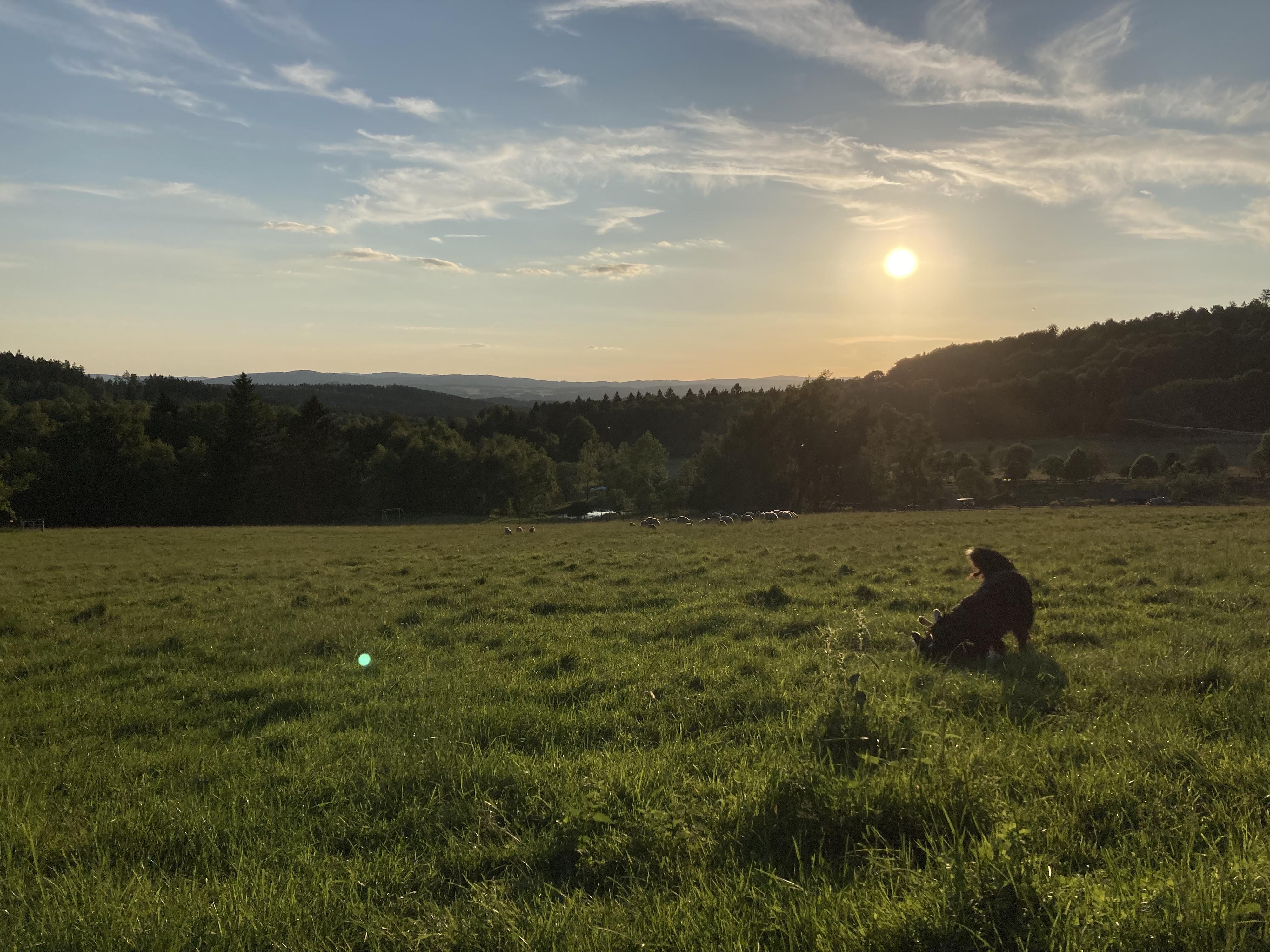 Farma Údolíčko foto 3