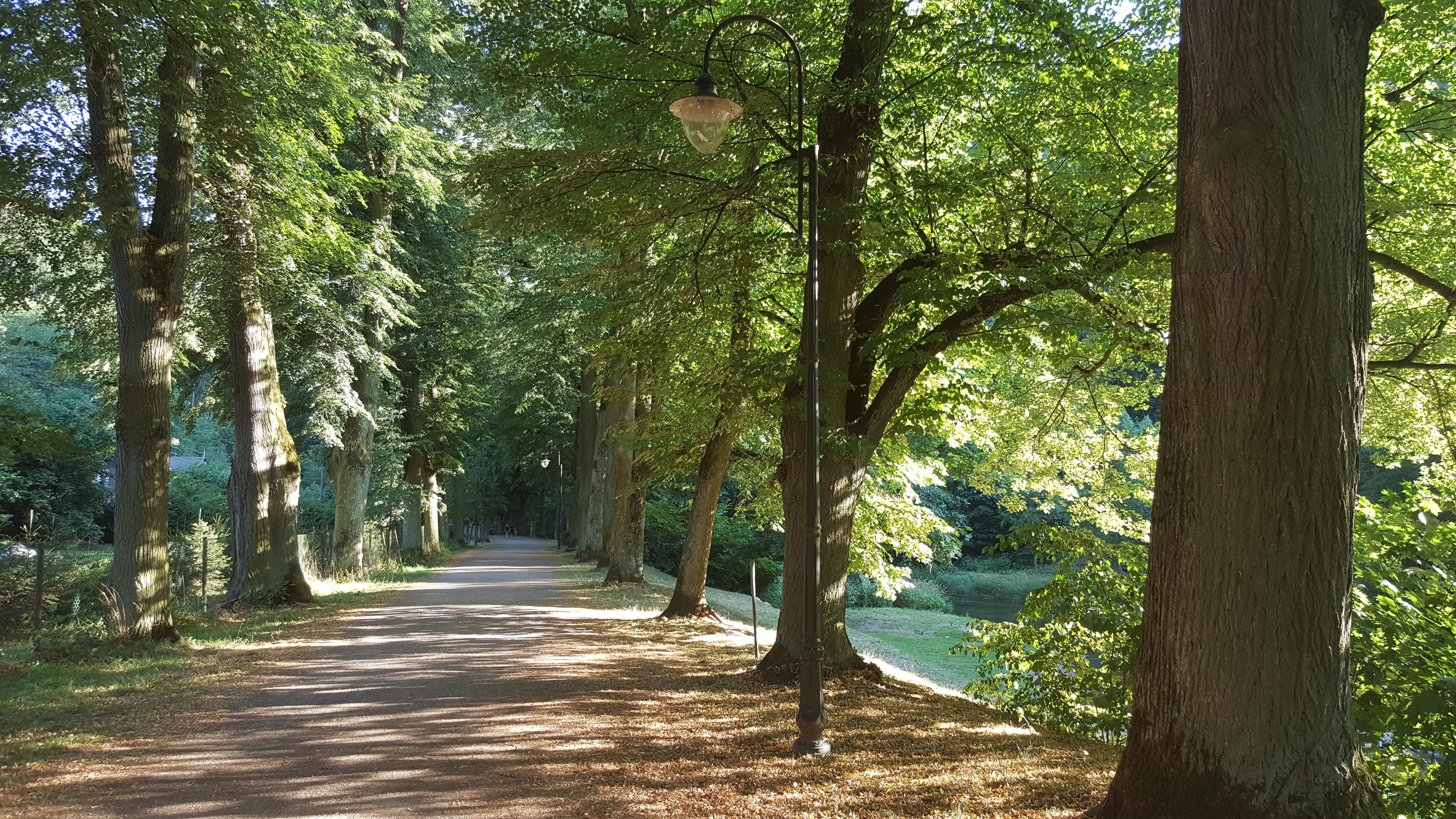 Rekreační zařízení Potštejn foto 3