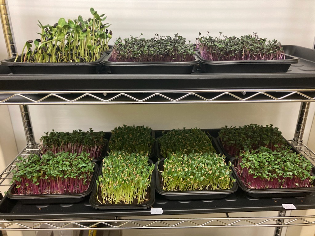 jsme Fitness Food Menu foto 4