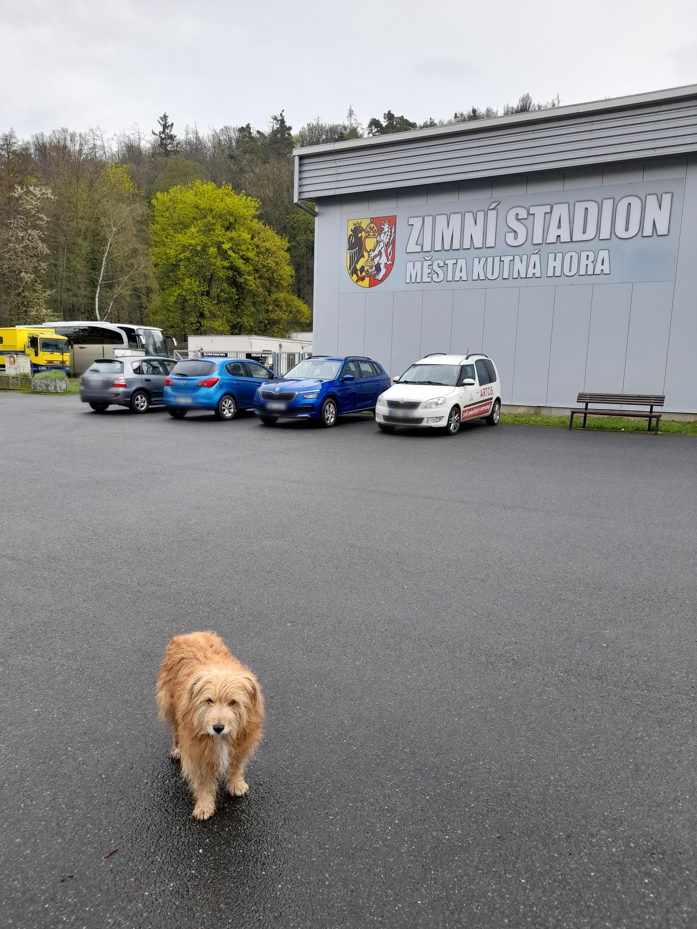 Zimní stadion foto 2