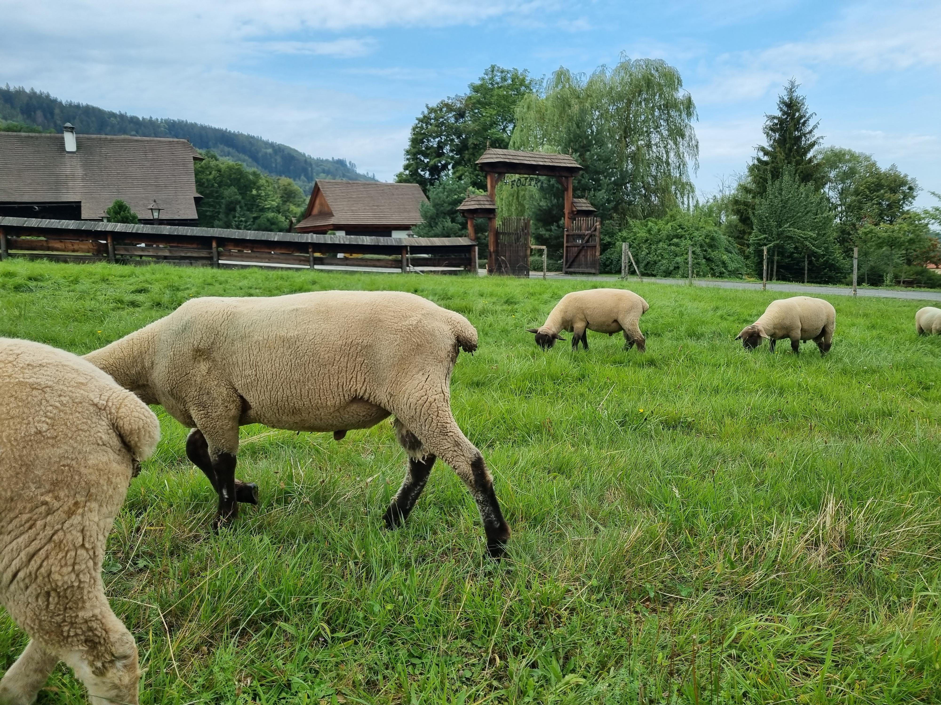 Valašská koliba Fojtka foto 6