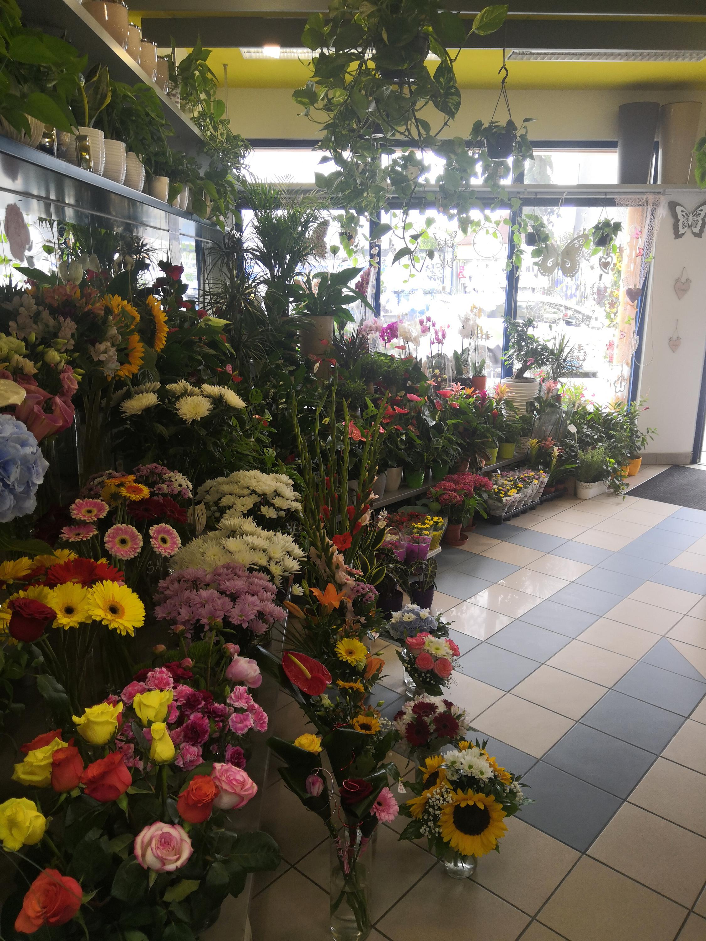 Květinářství Jana Brzobohatá foto 3