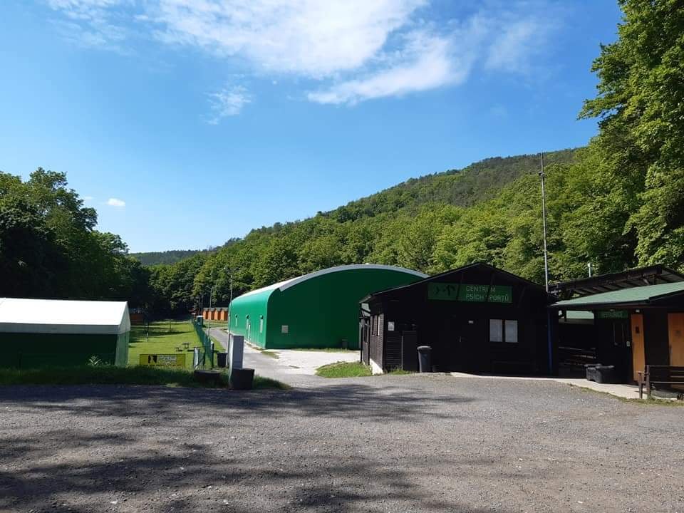 Dog Academy Beroun foto 4