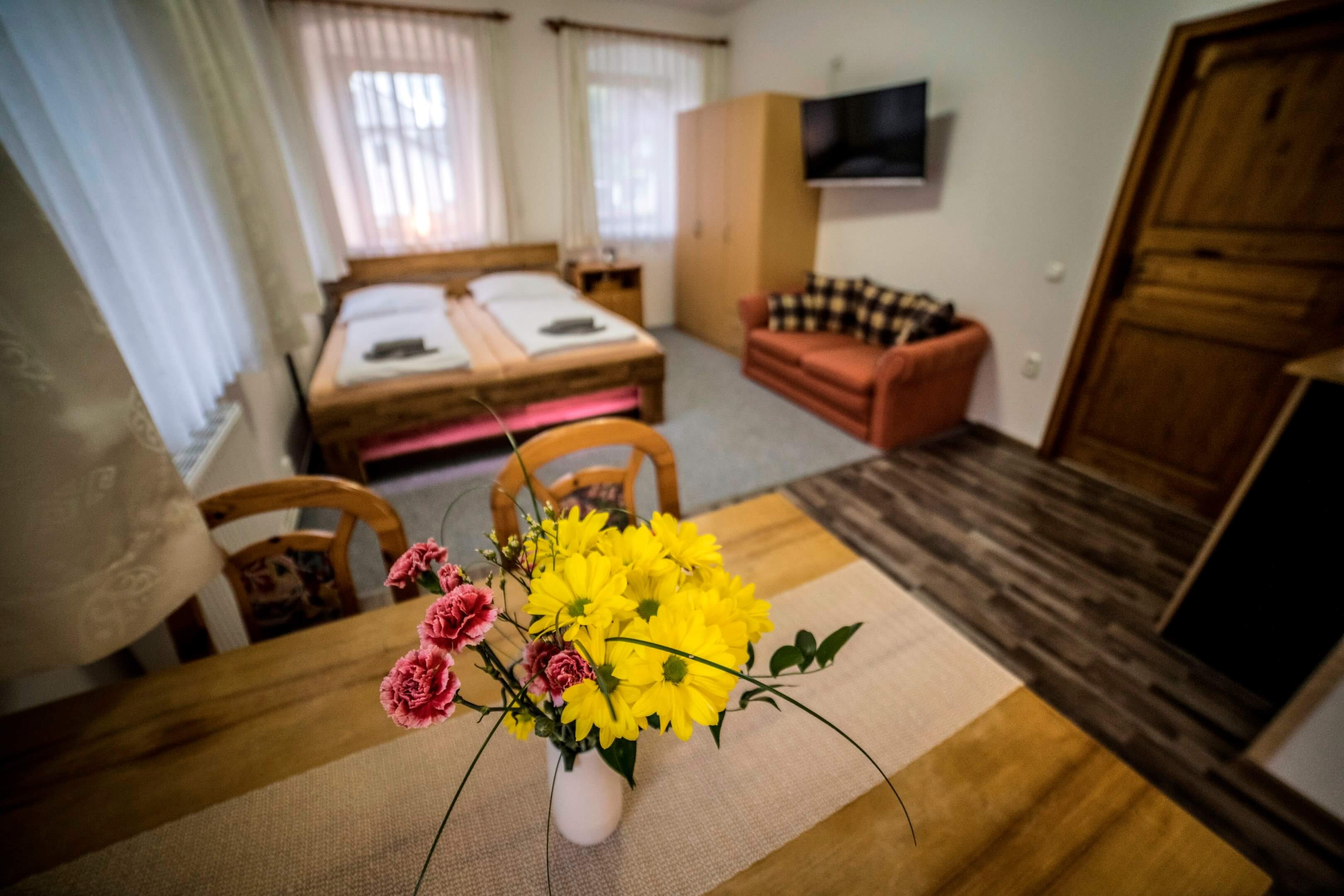 Pension 220 - Rodinné apartmány foto 6