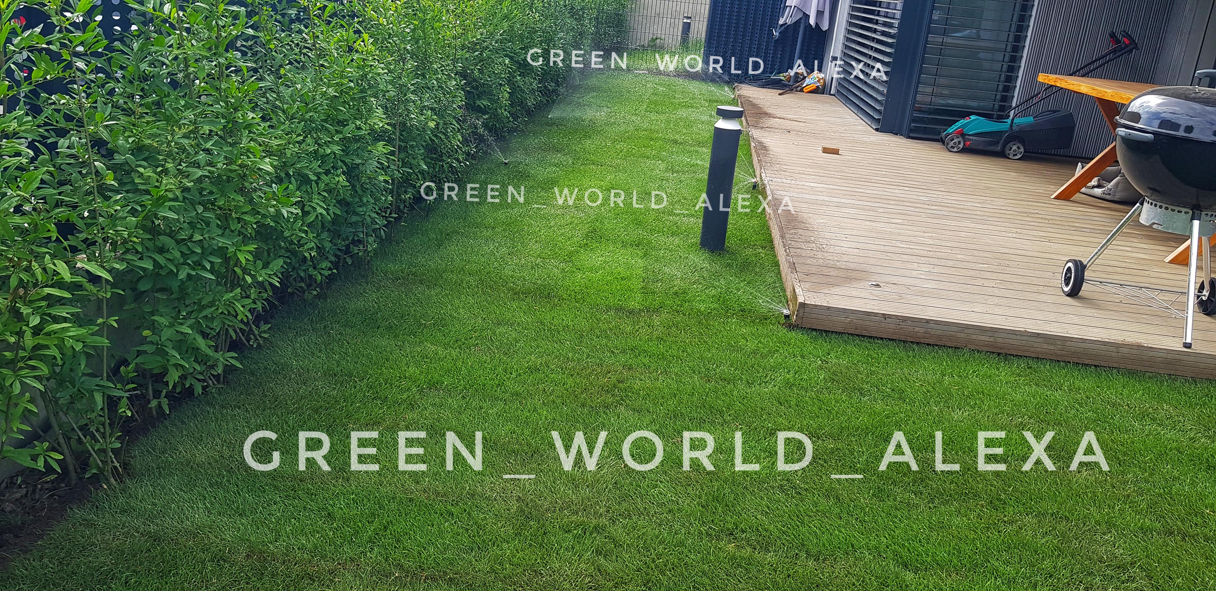 Green World Alexa foto 2