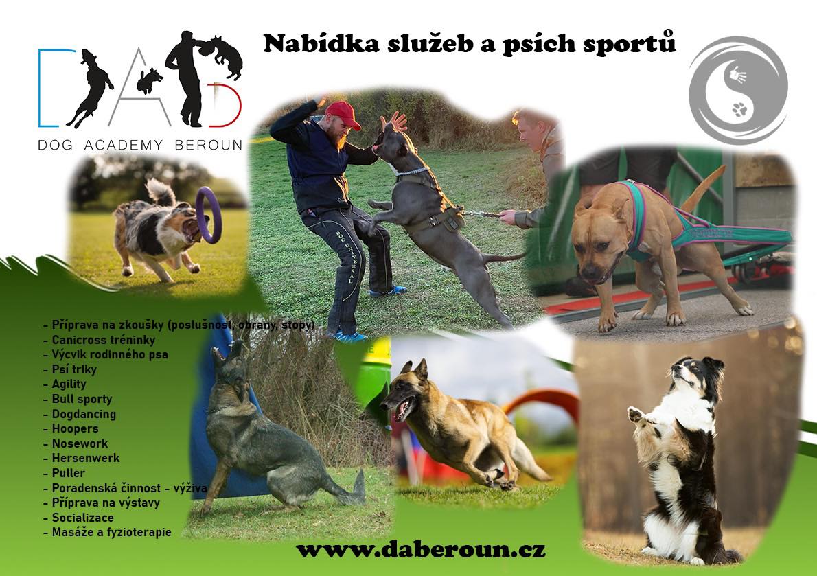 Dog Academy Beroun foto 3