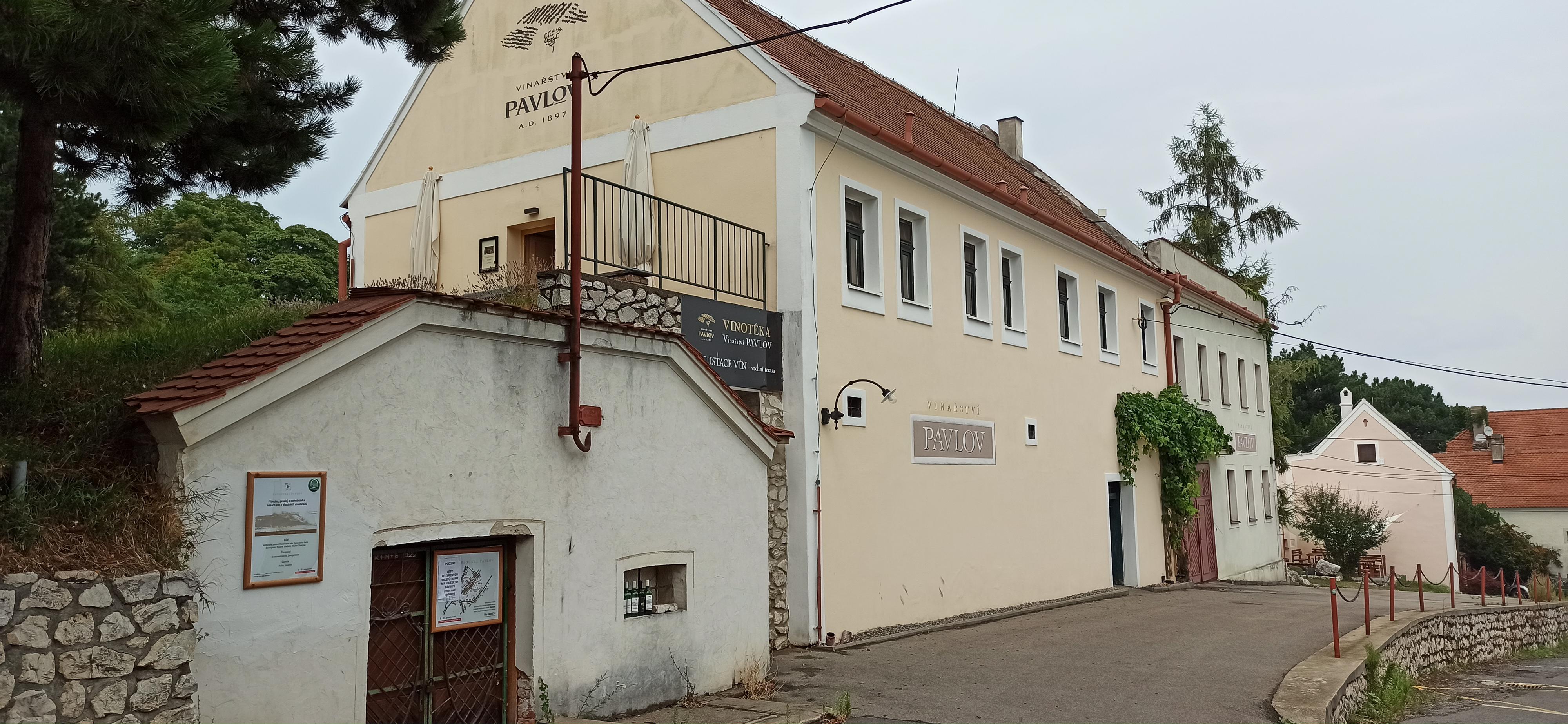 Vinařství Pavlov, s.r.o. foto 5