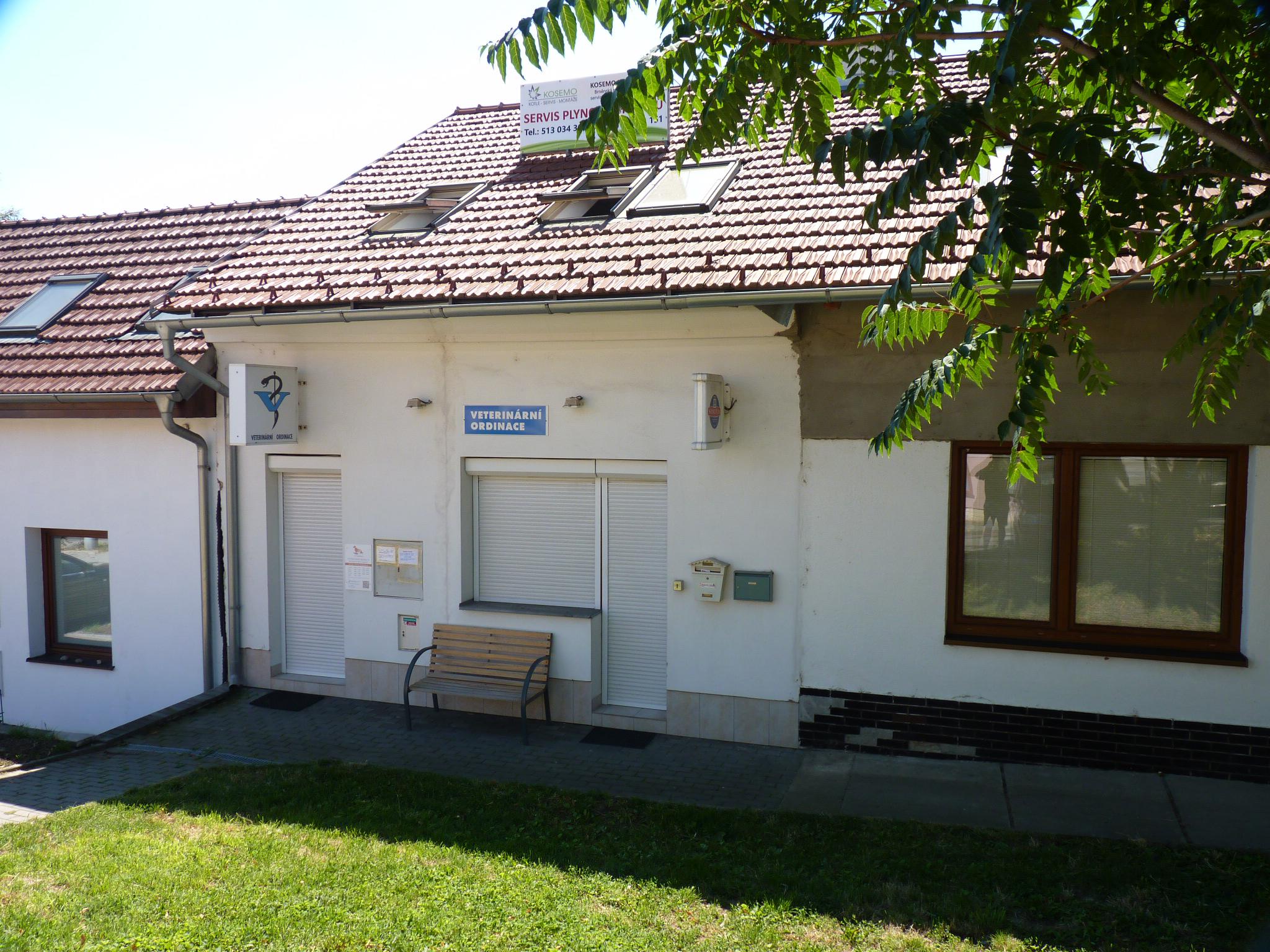 VETerinka foto 2
