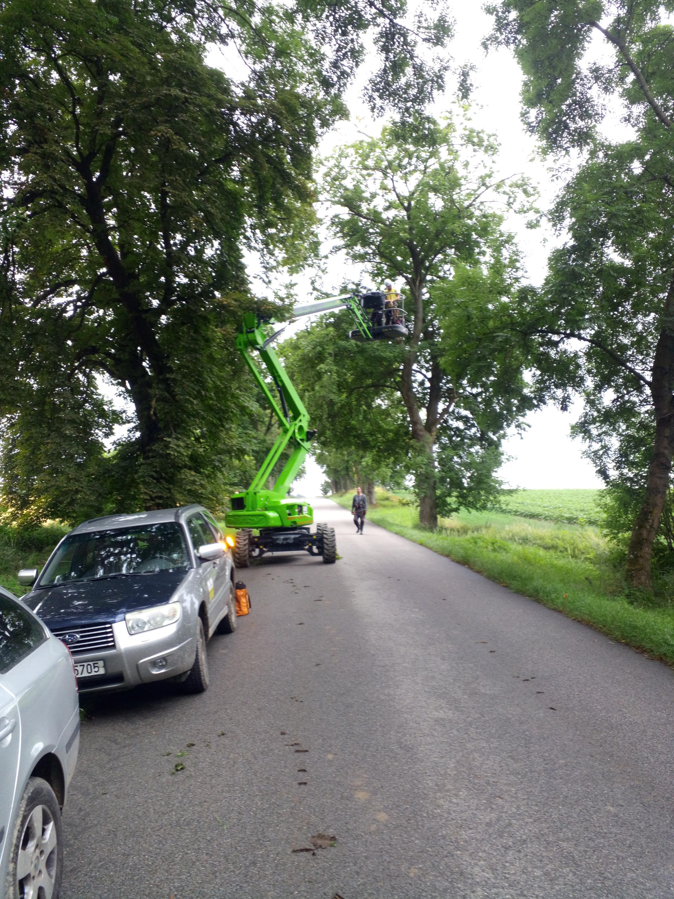 Kamil Imríšek - ARBOMA Tree Service foto 2