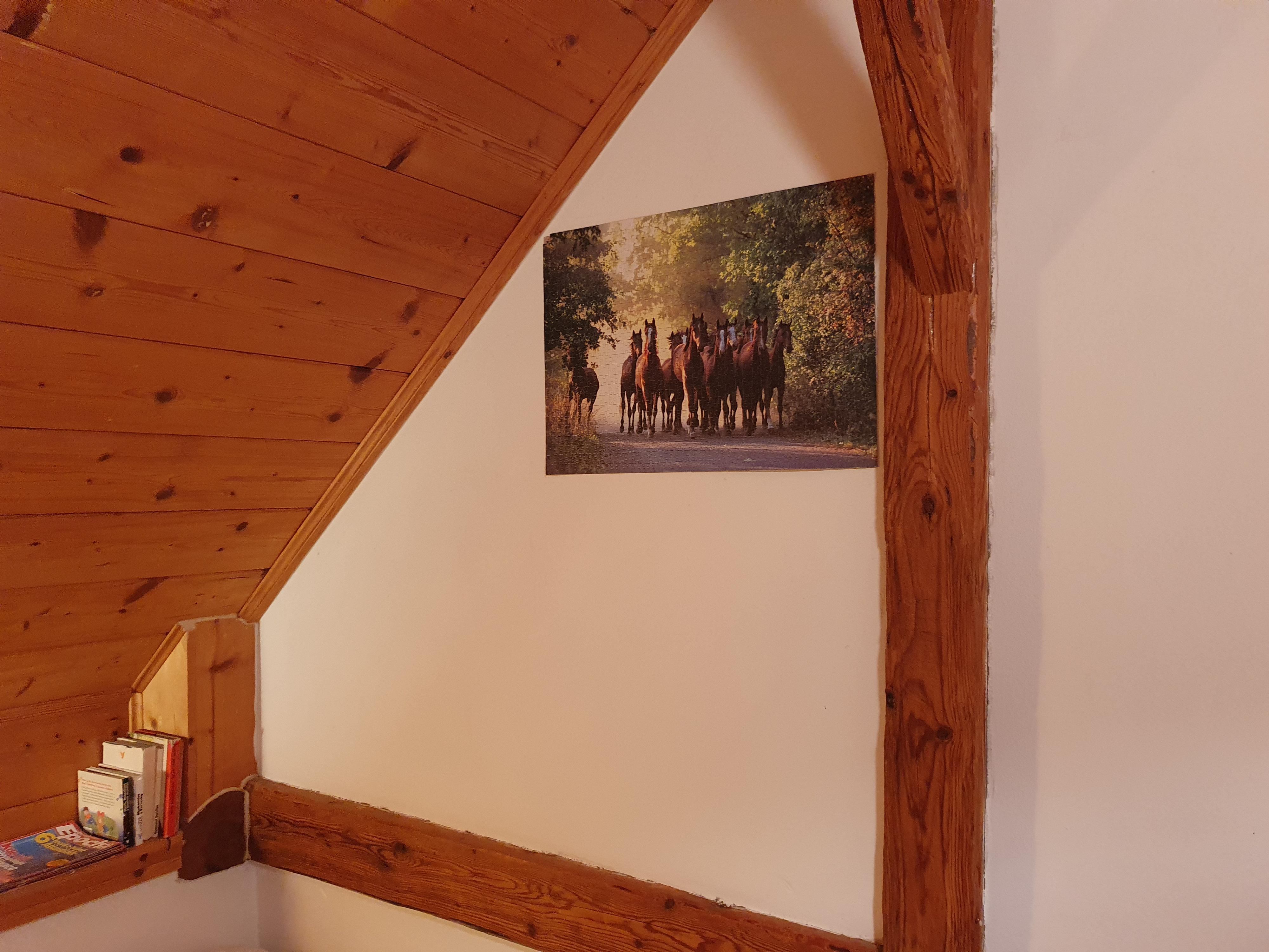 Stáj Malonty foto 6