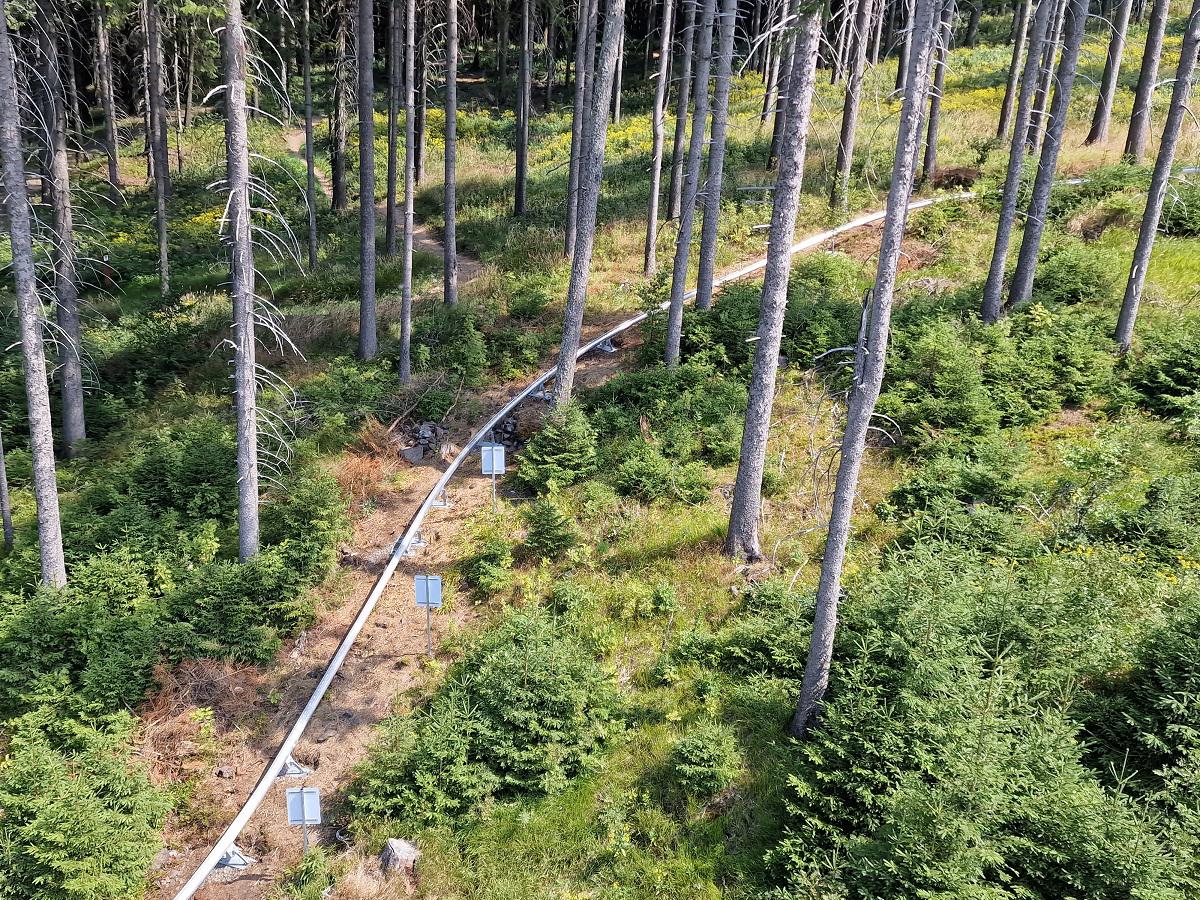 Bobová dráha Plešivec foto 3