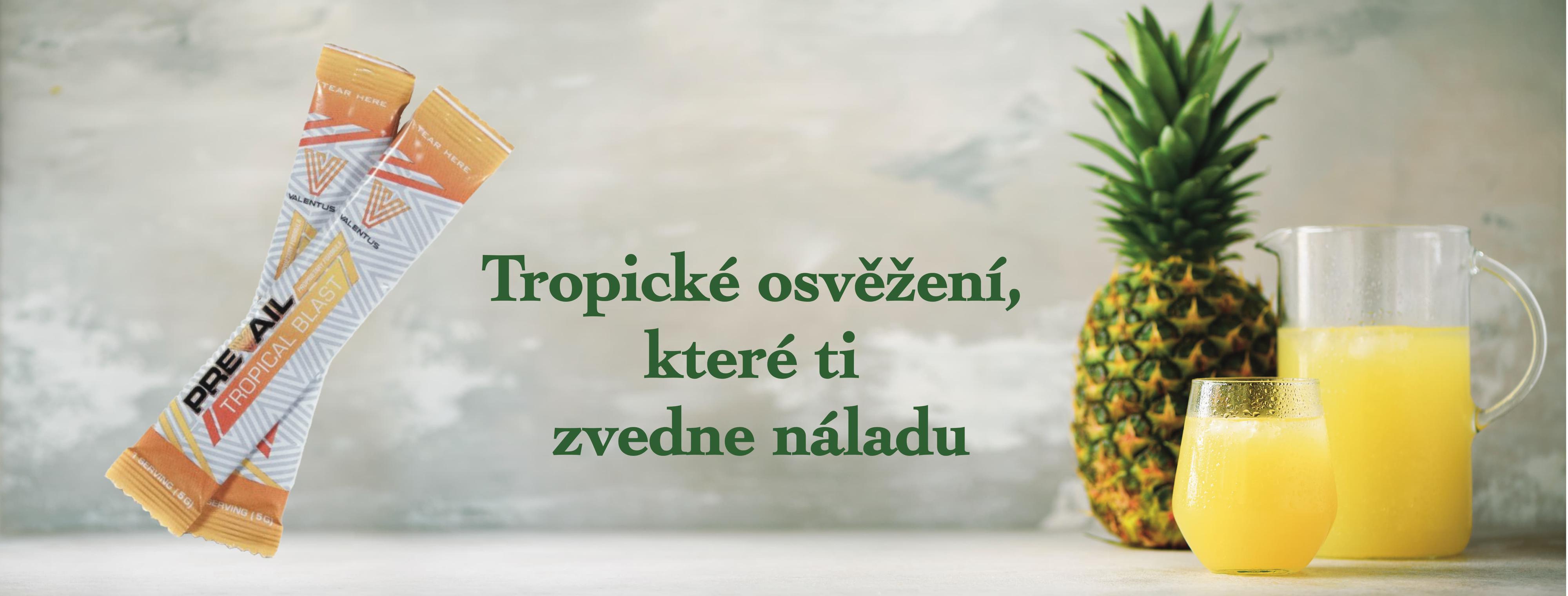 Freshioo.cz foto 3